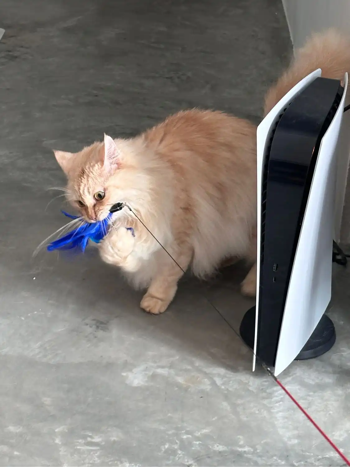 image-13