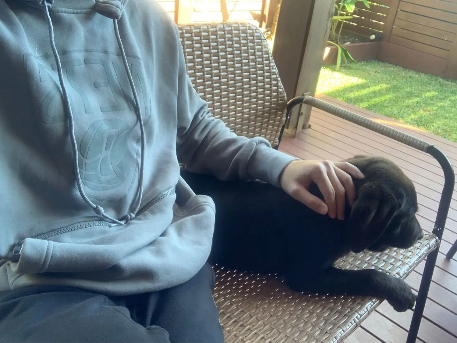 image-3