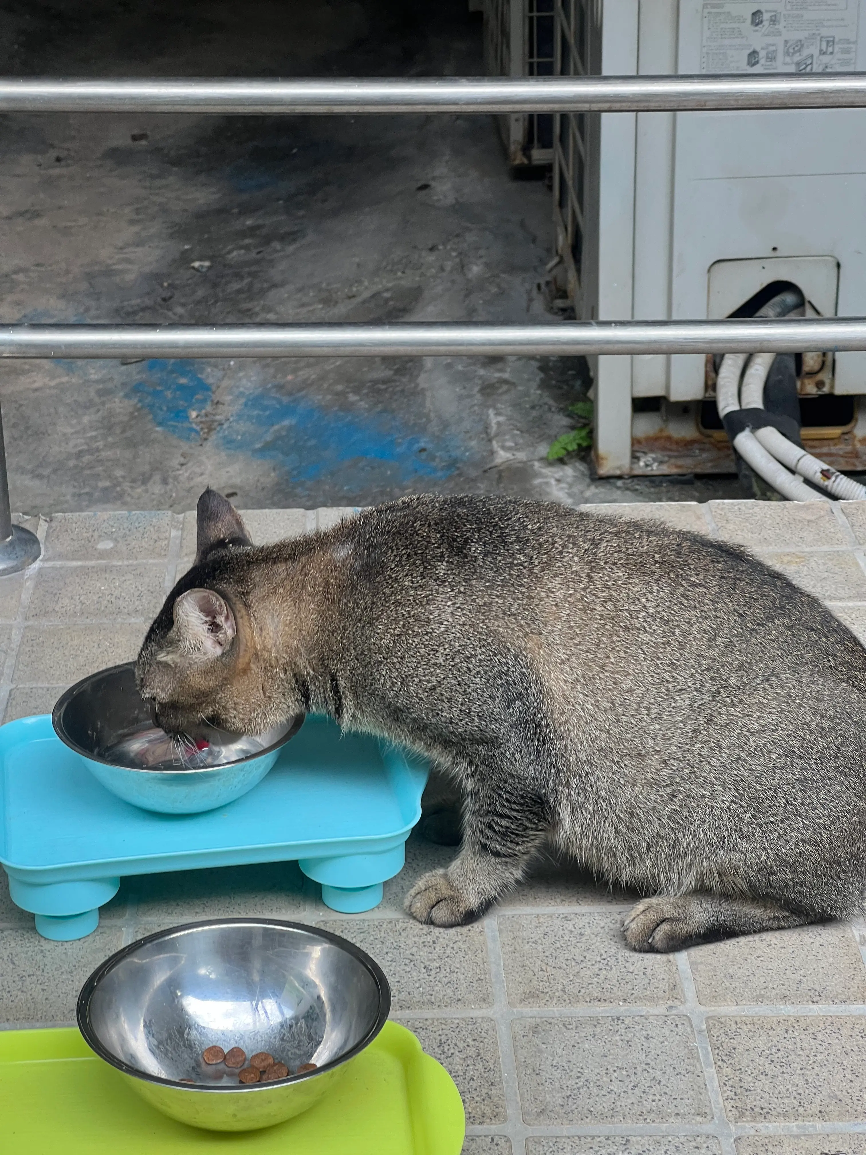 image-4