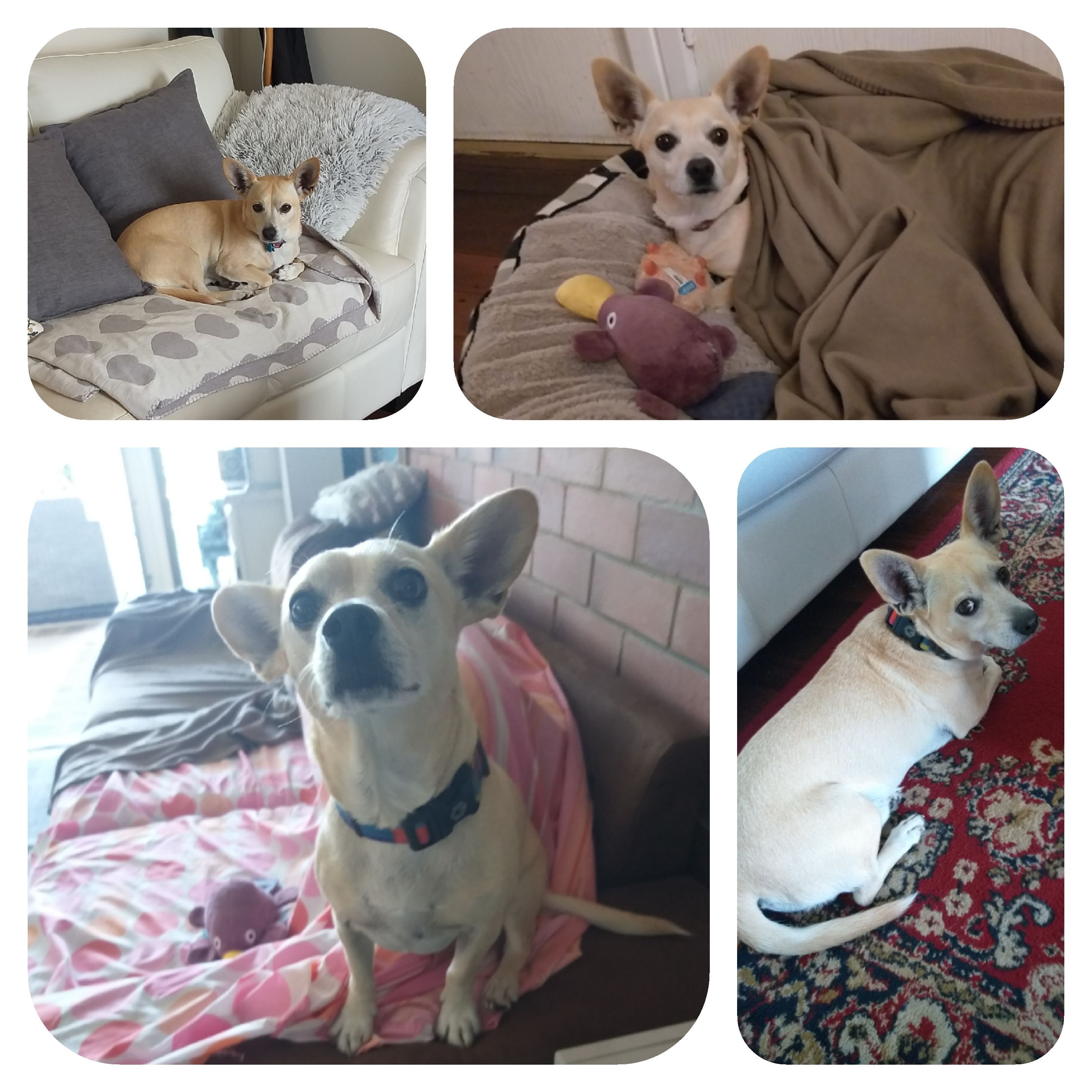 image-48