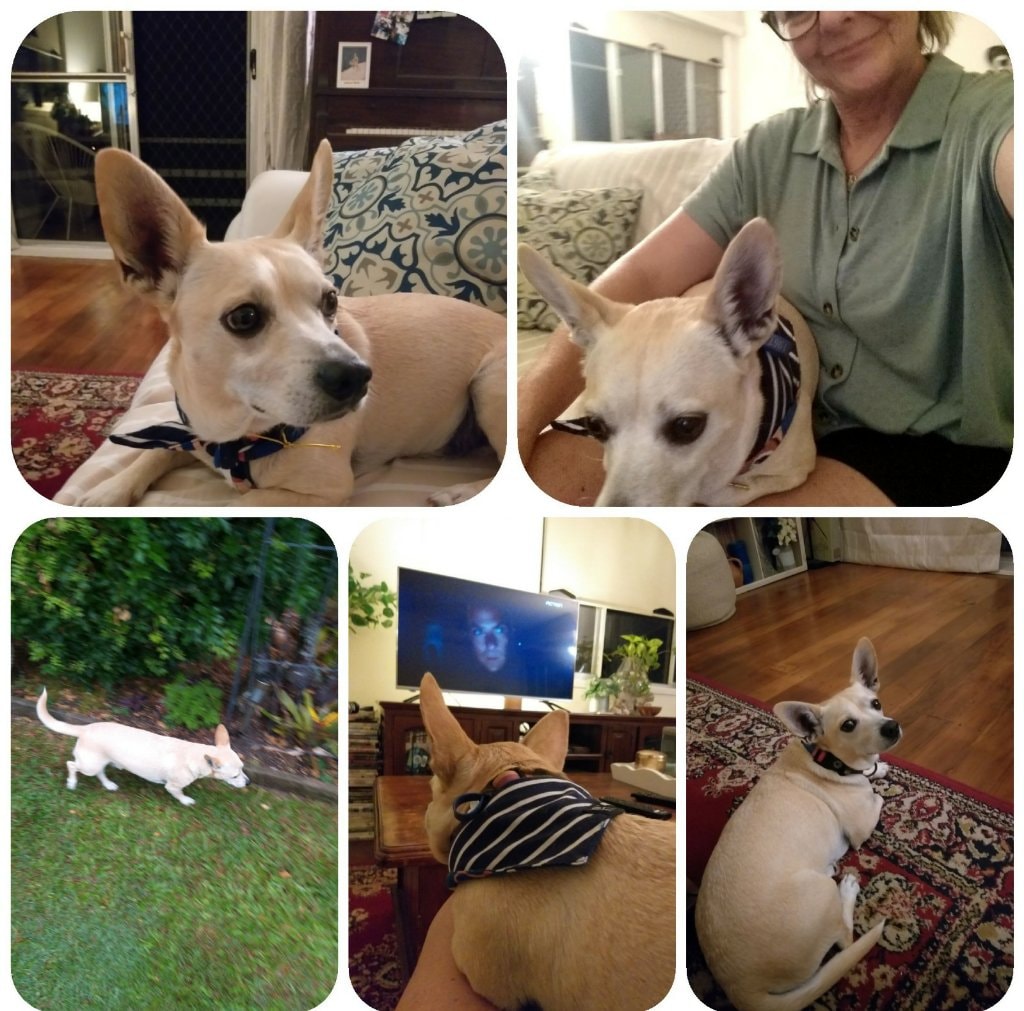 image-14