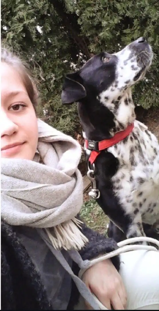 image-7
