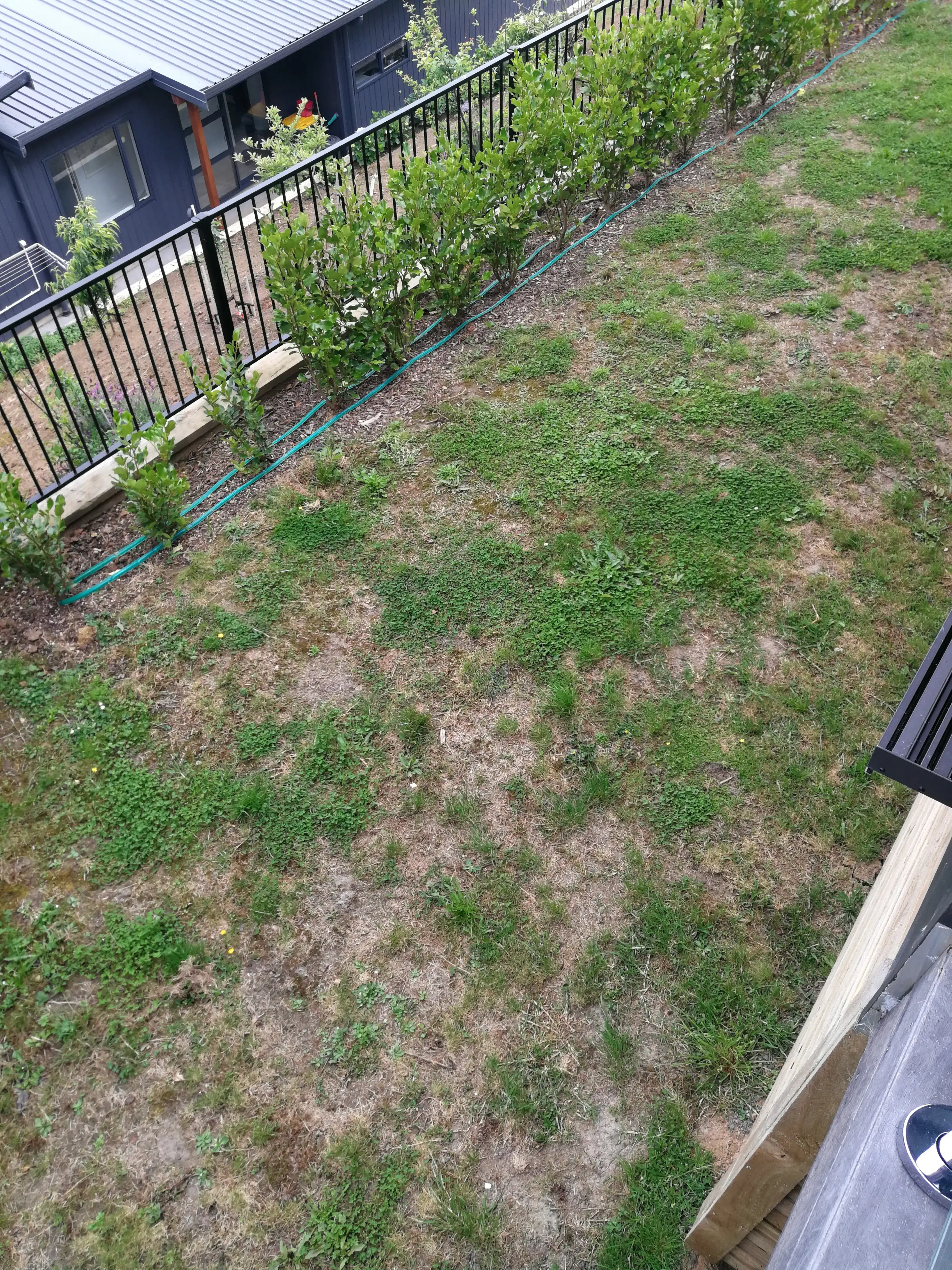 image-16
