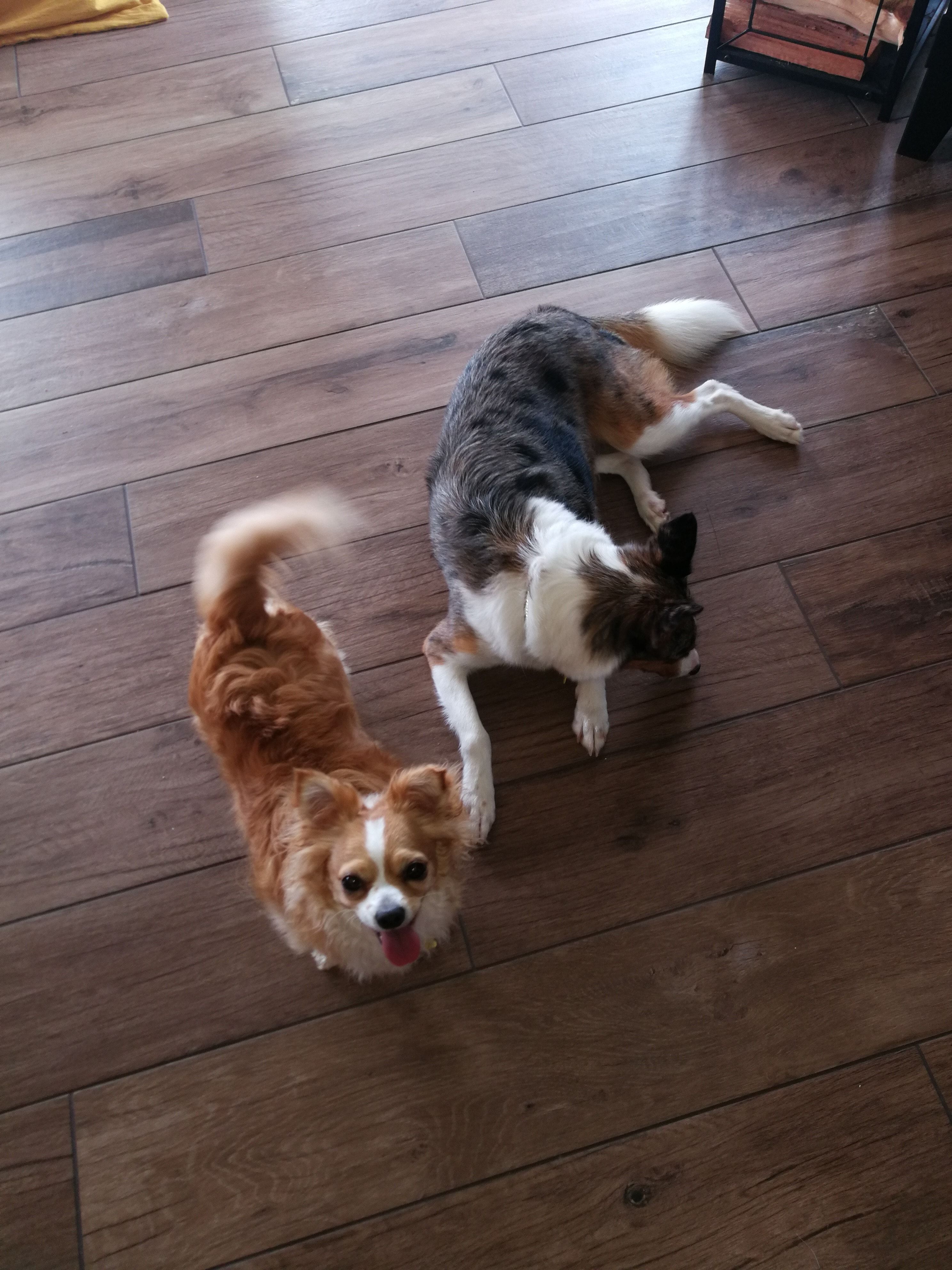 image-20