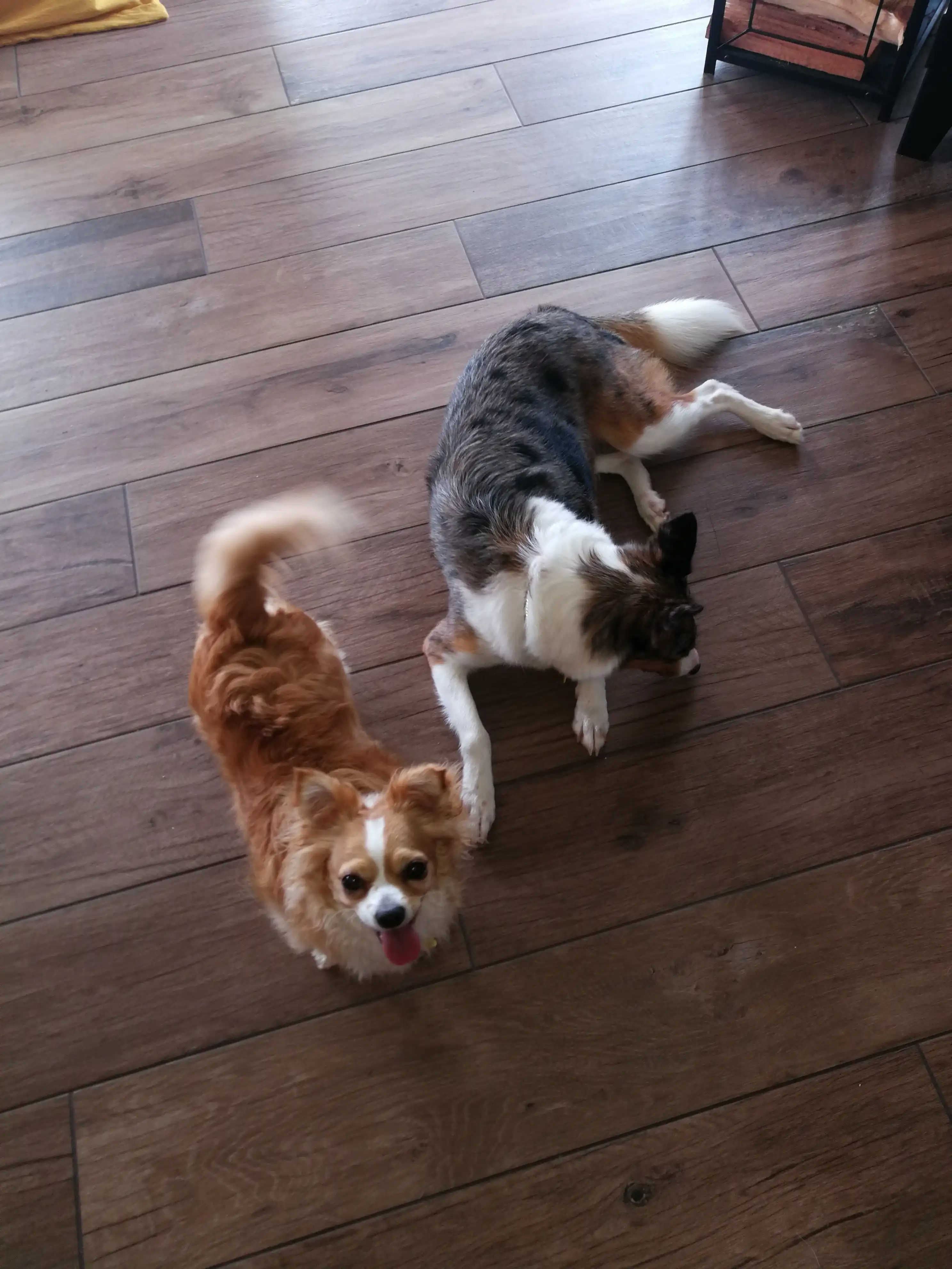 image-20
