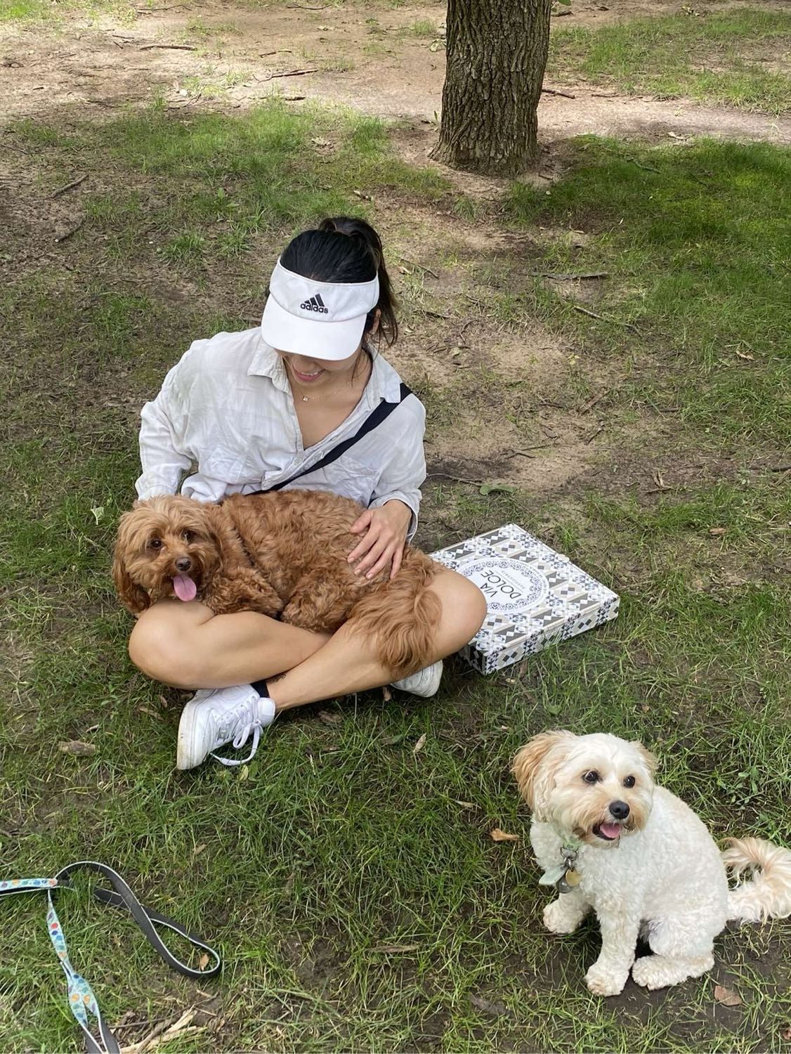 image-3