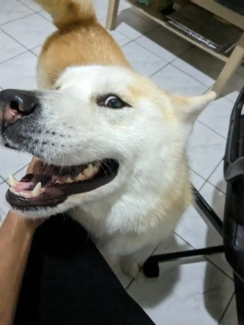 image-10