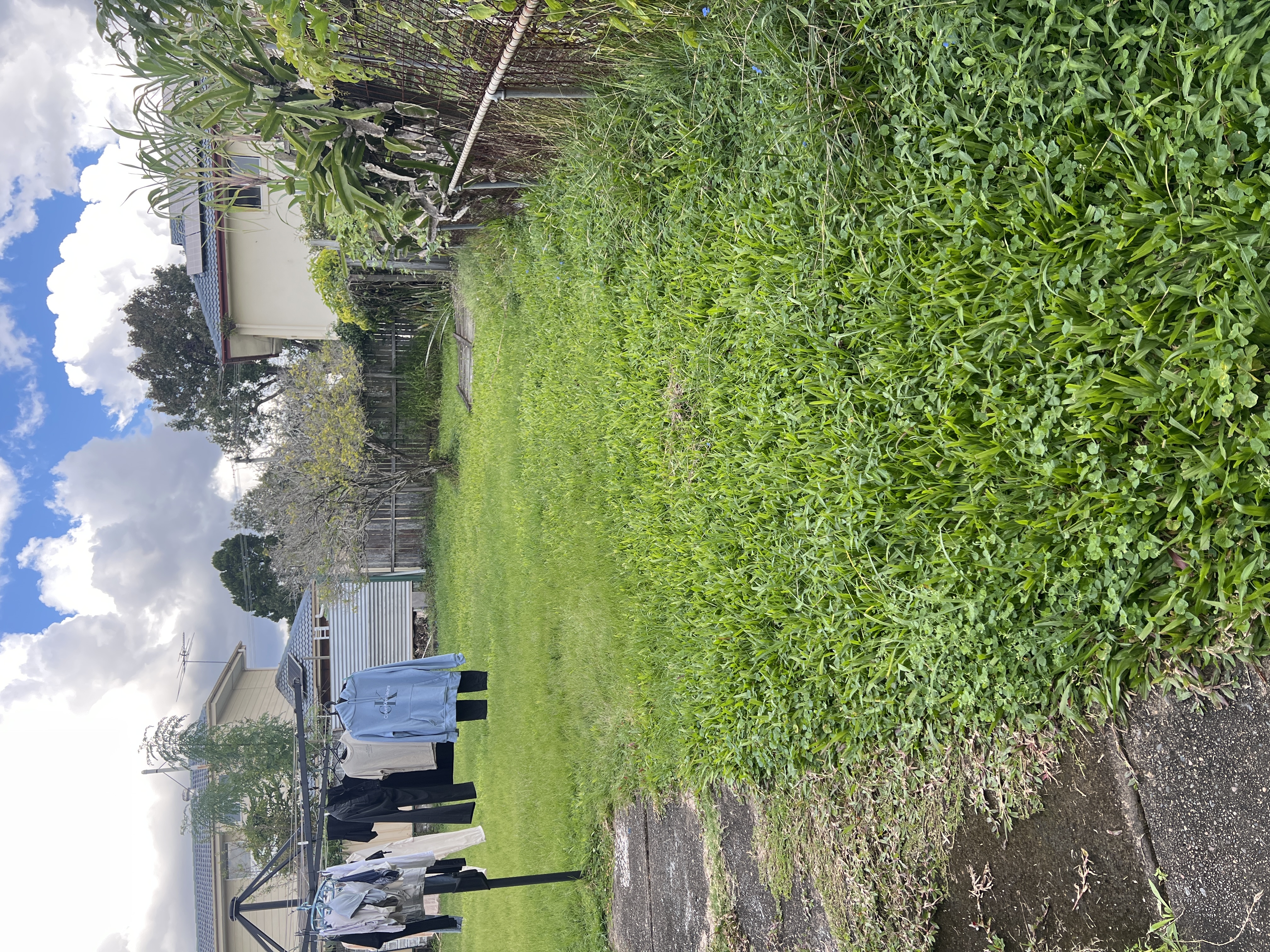 image-16