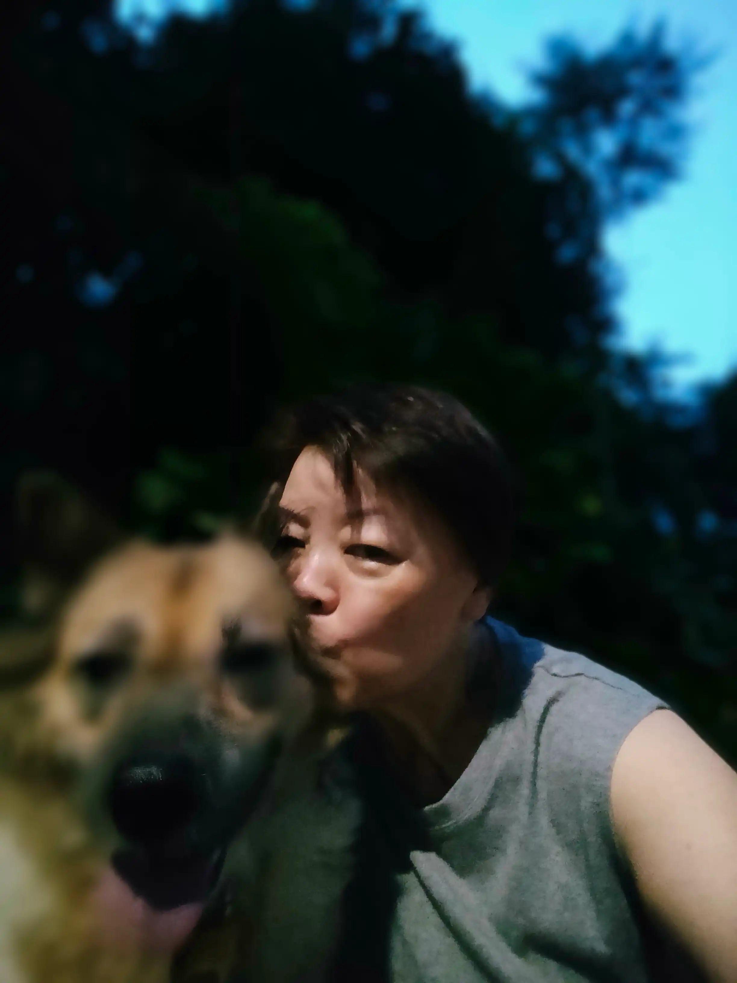 image-5