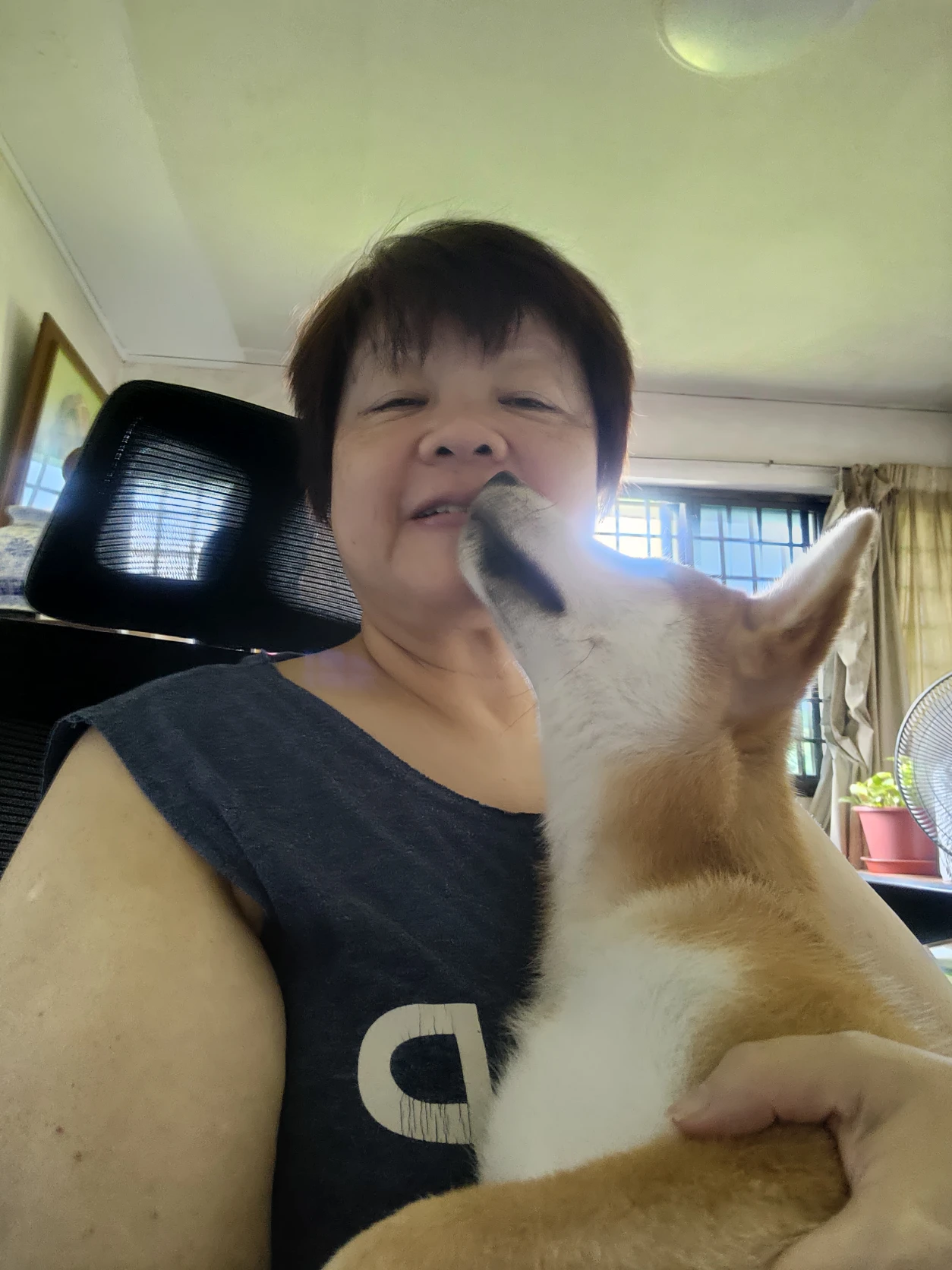 image-17