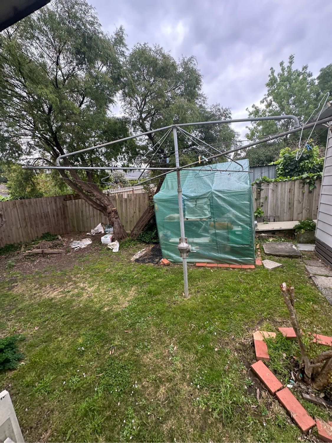 image-7