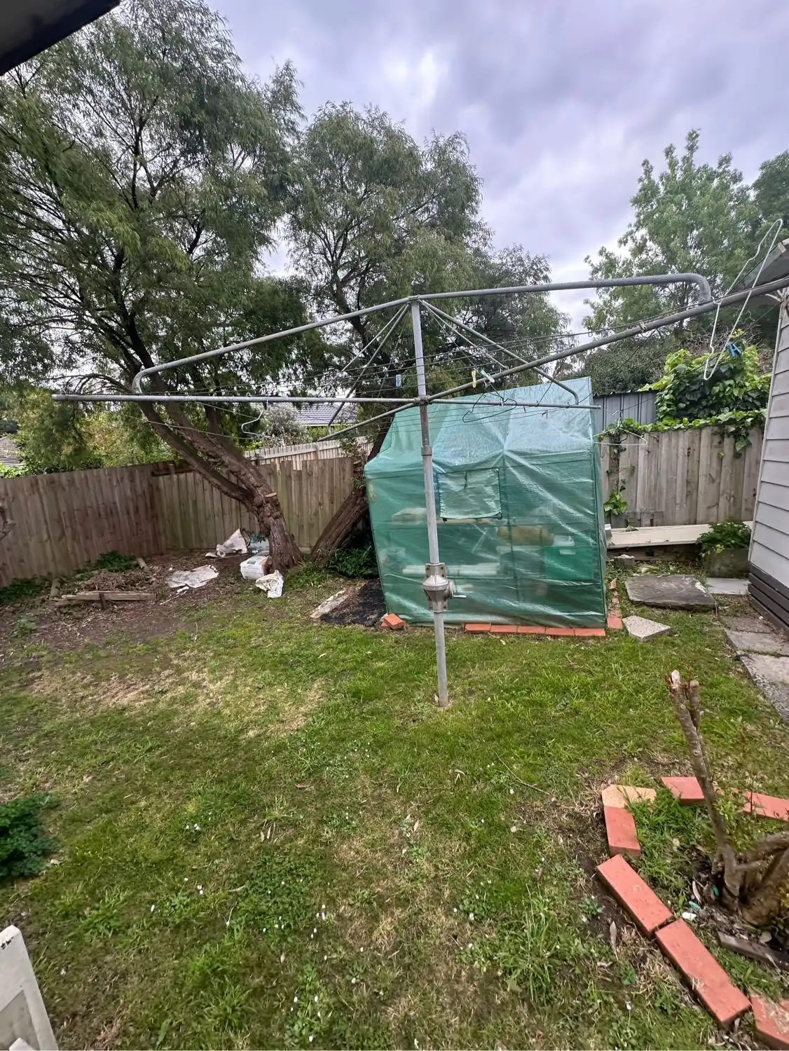 image-7