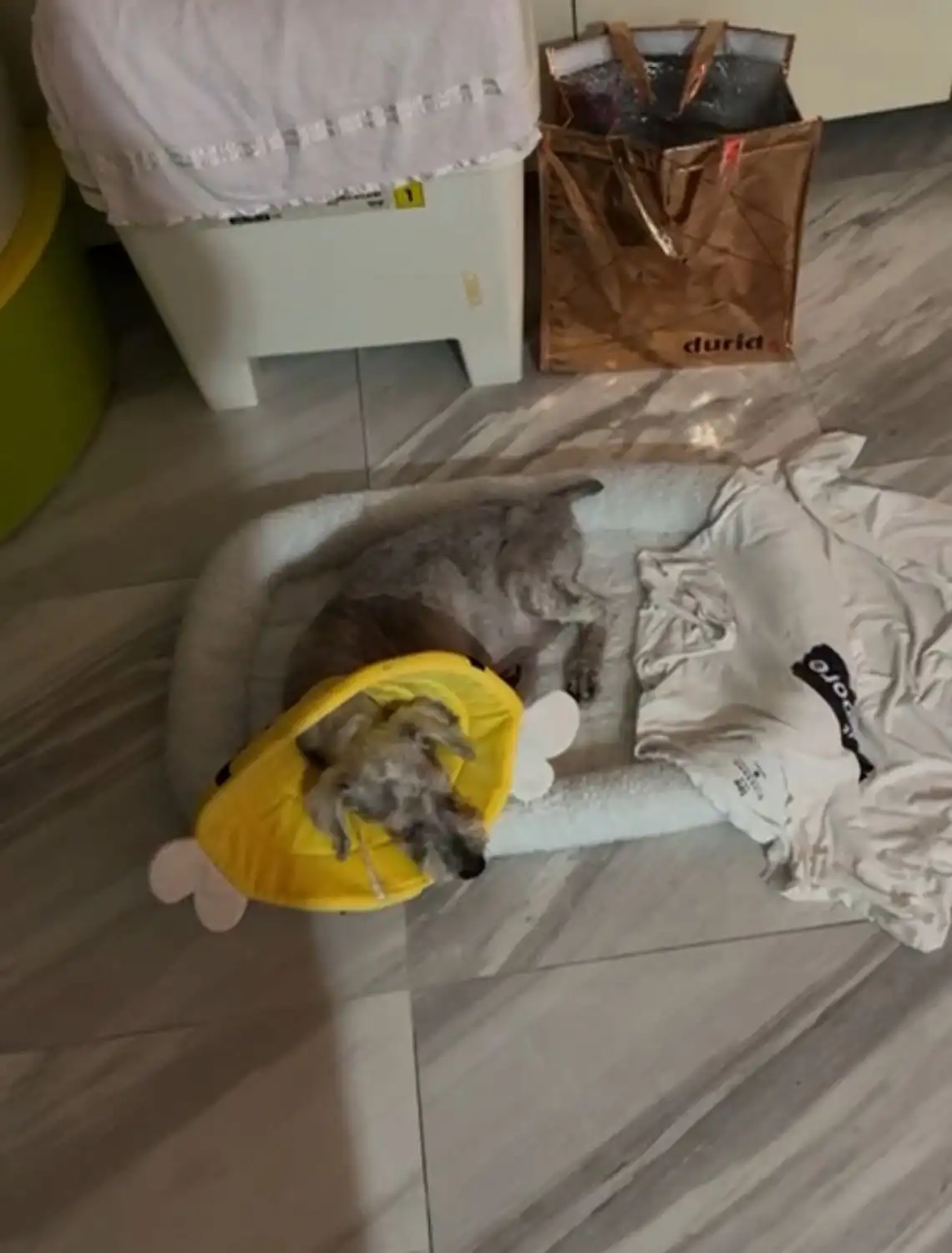 image-6