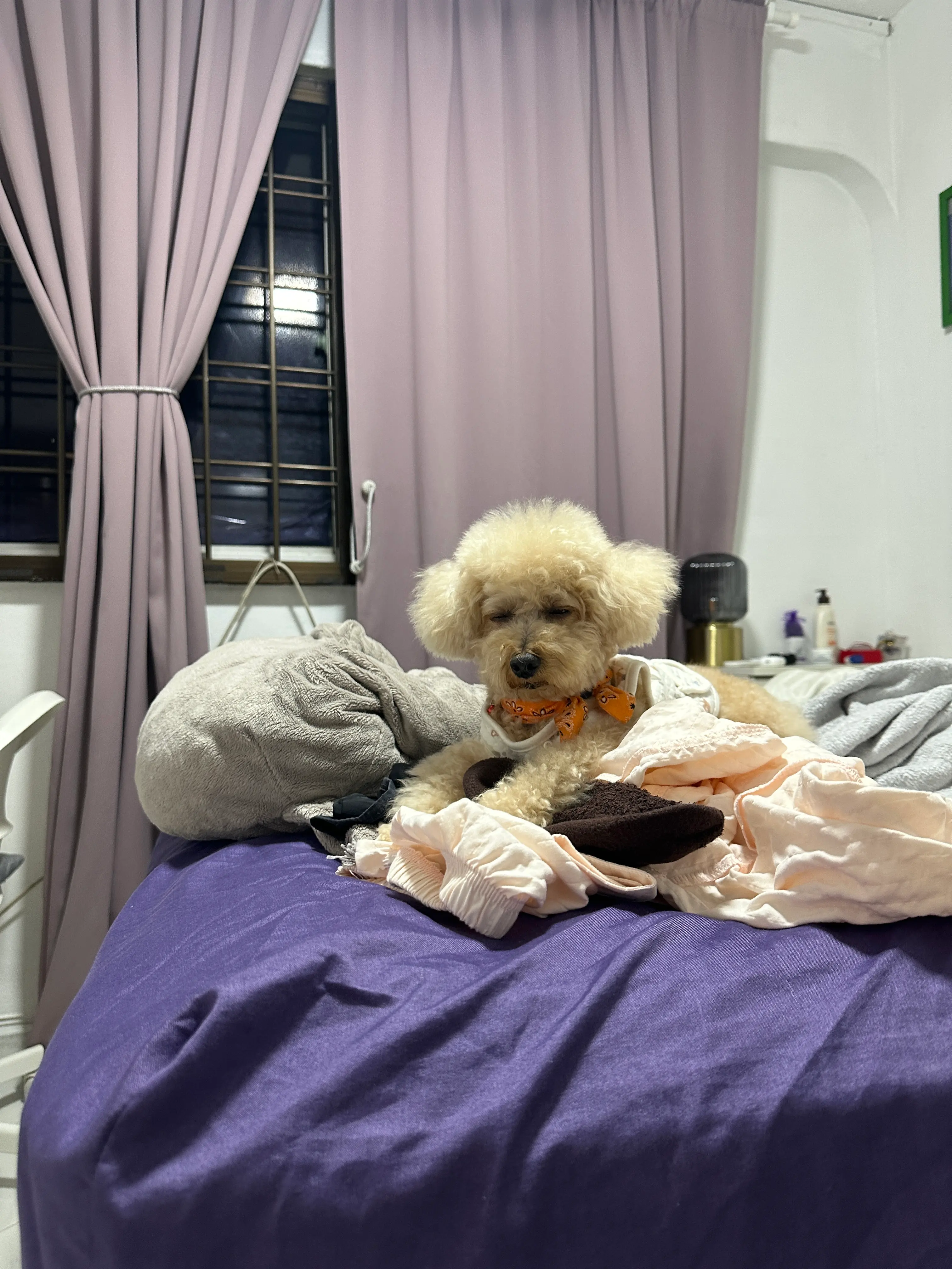image-4