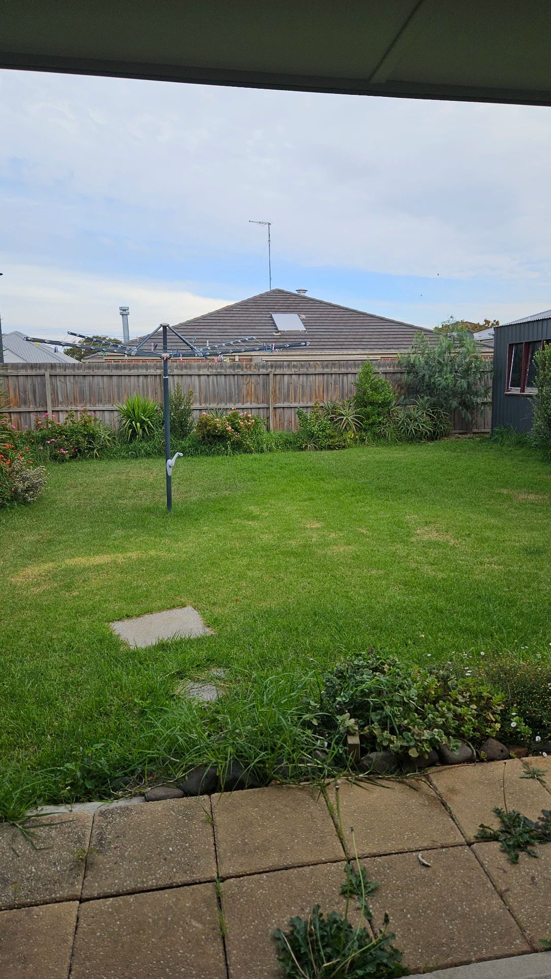 image-8