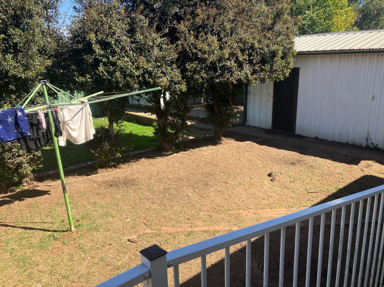 image-6