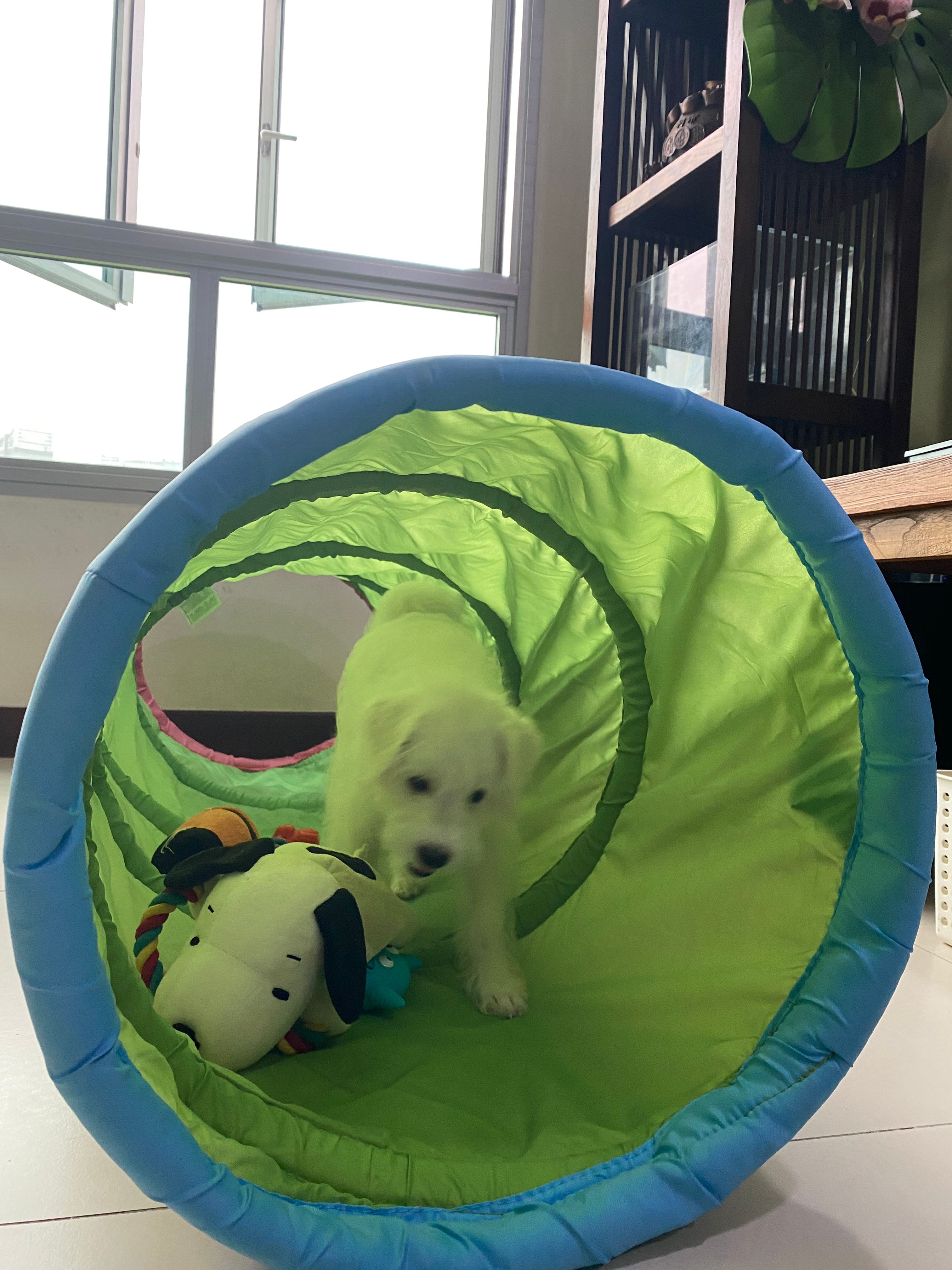 image-4