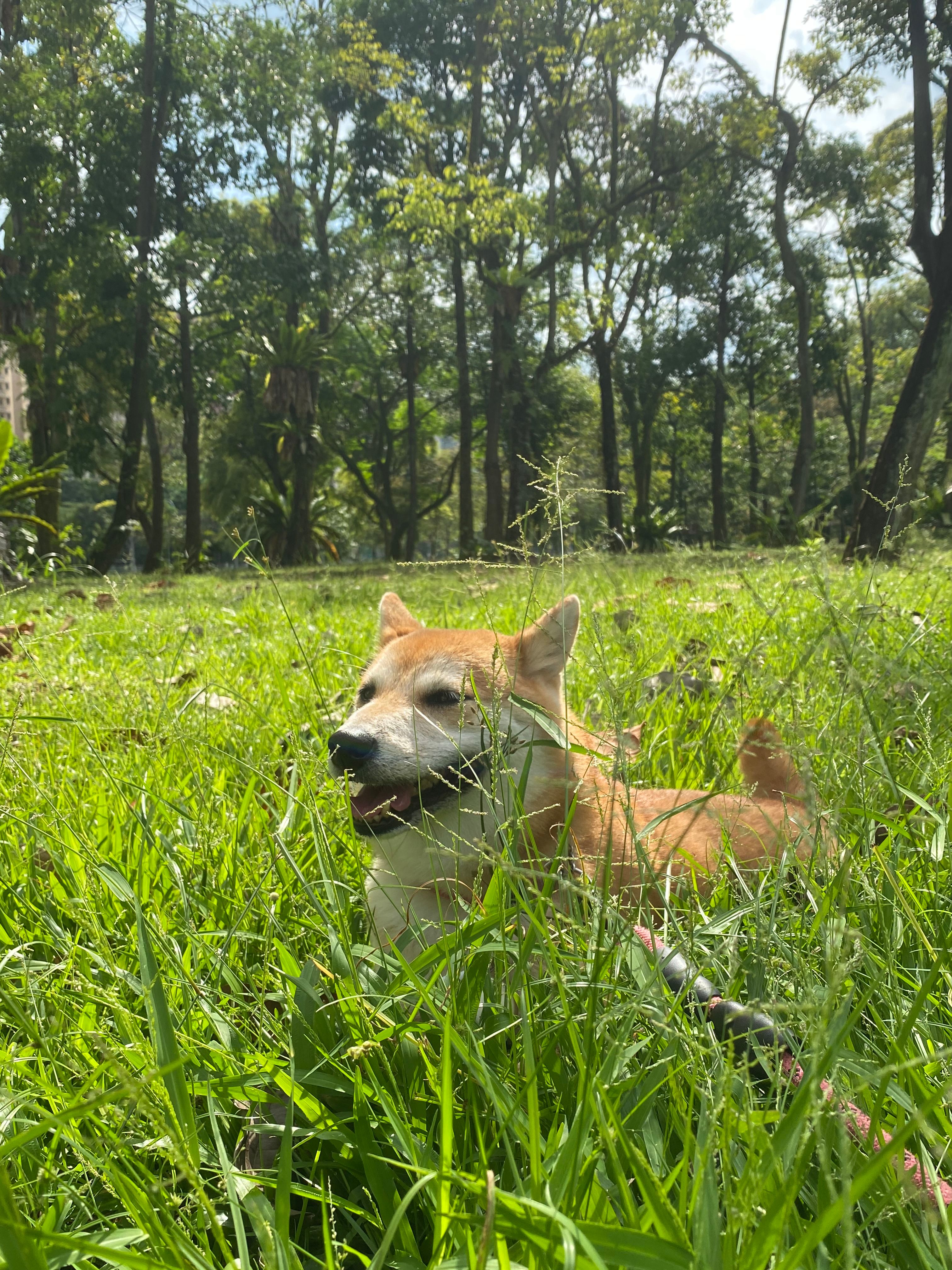 image-15