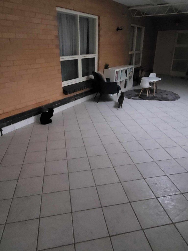 image-7
