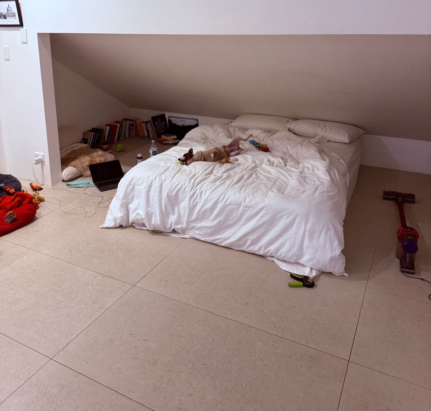 image-4