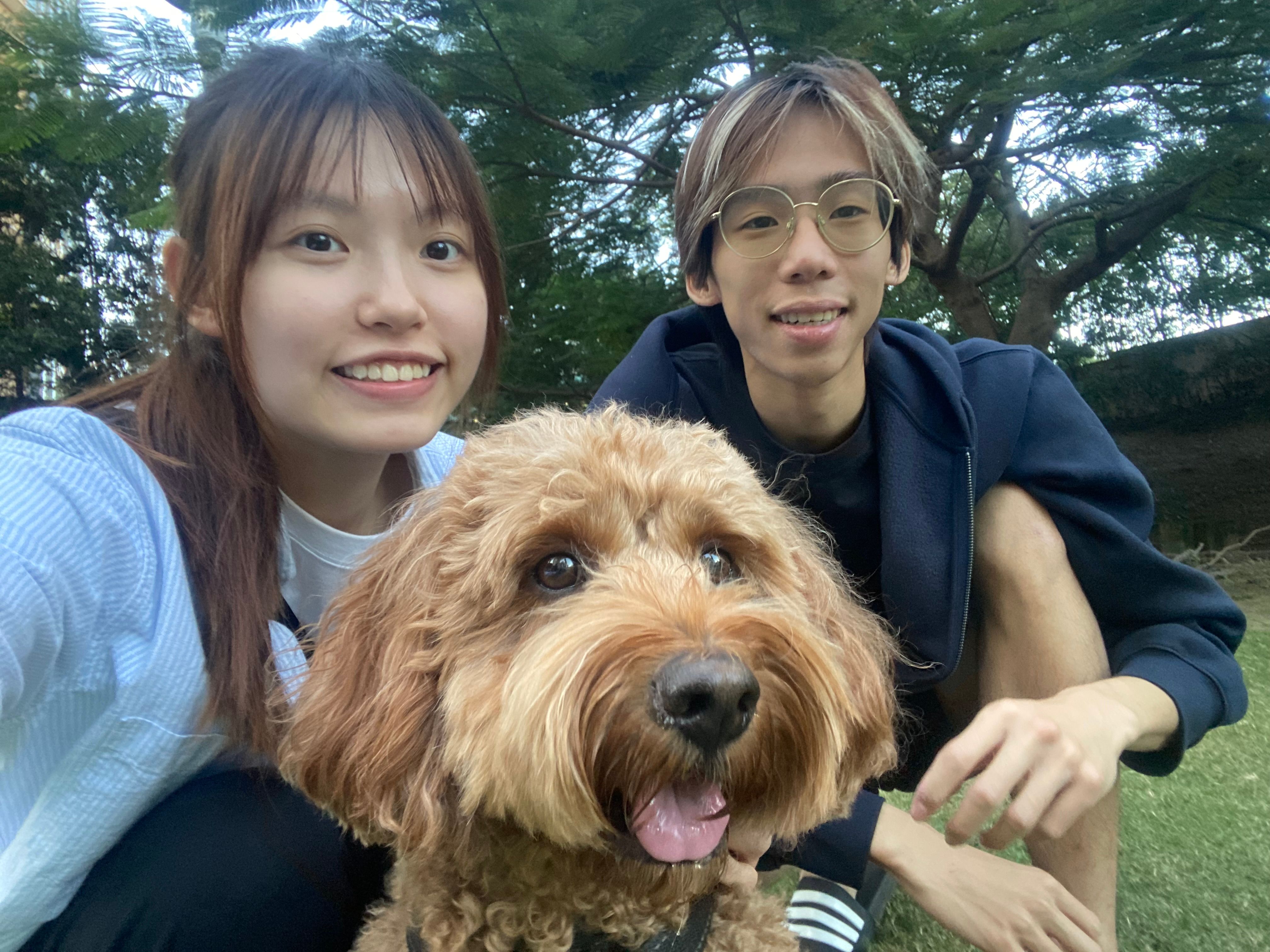 image-2