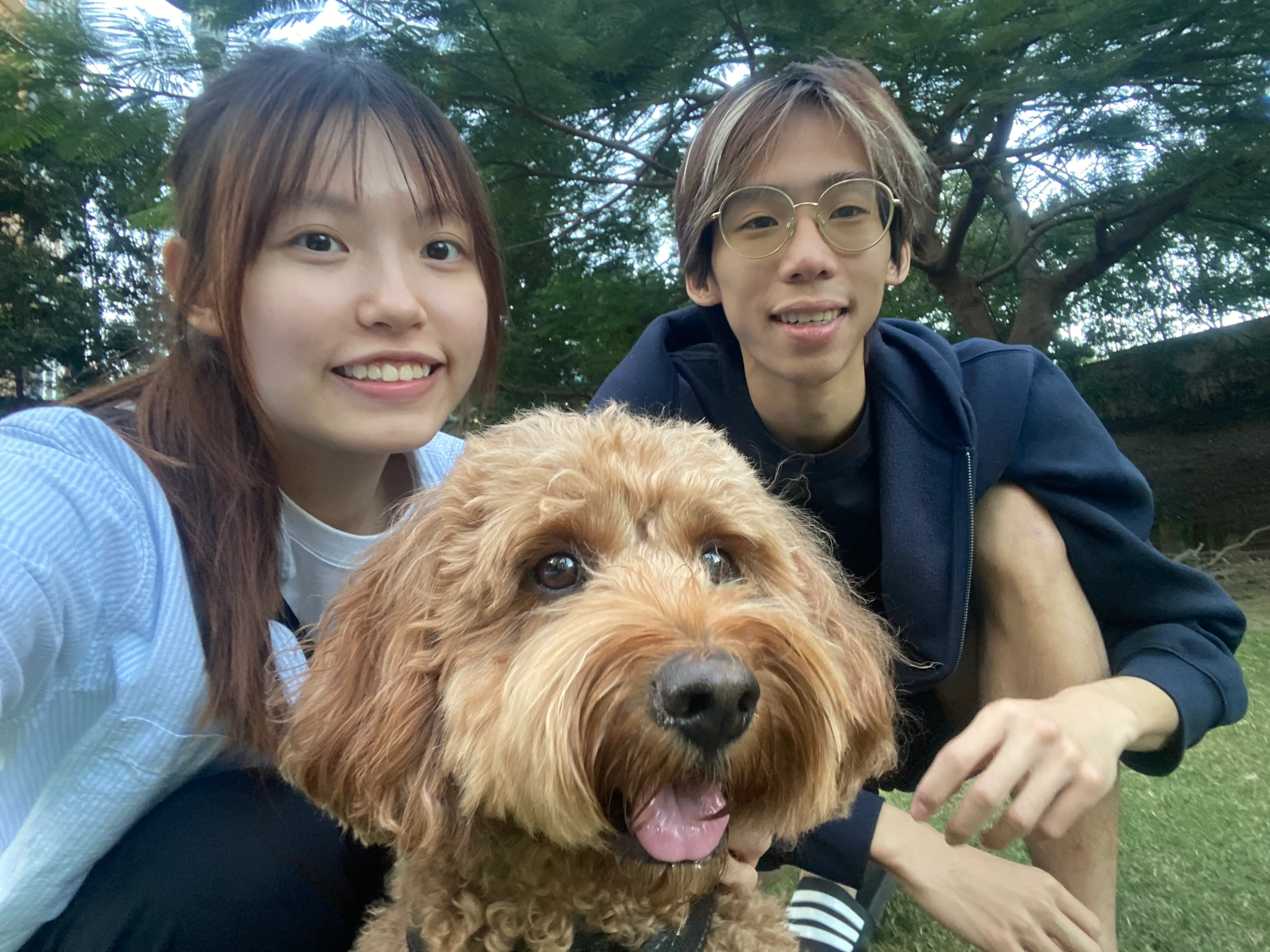 image-2
