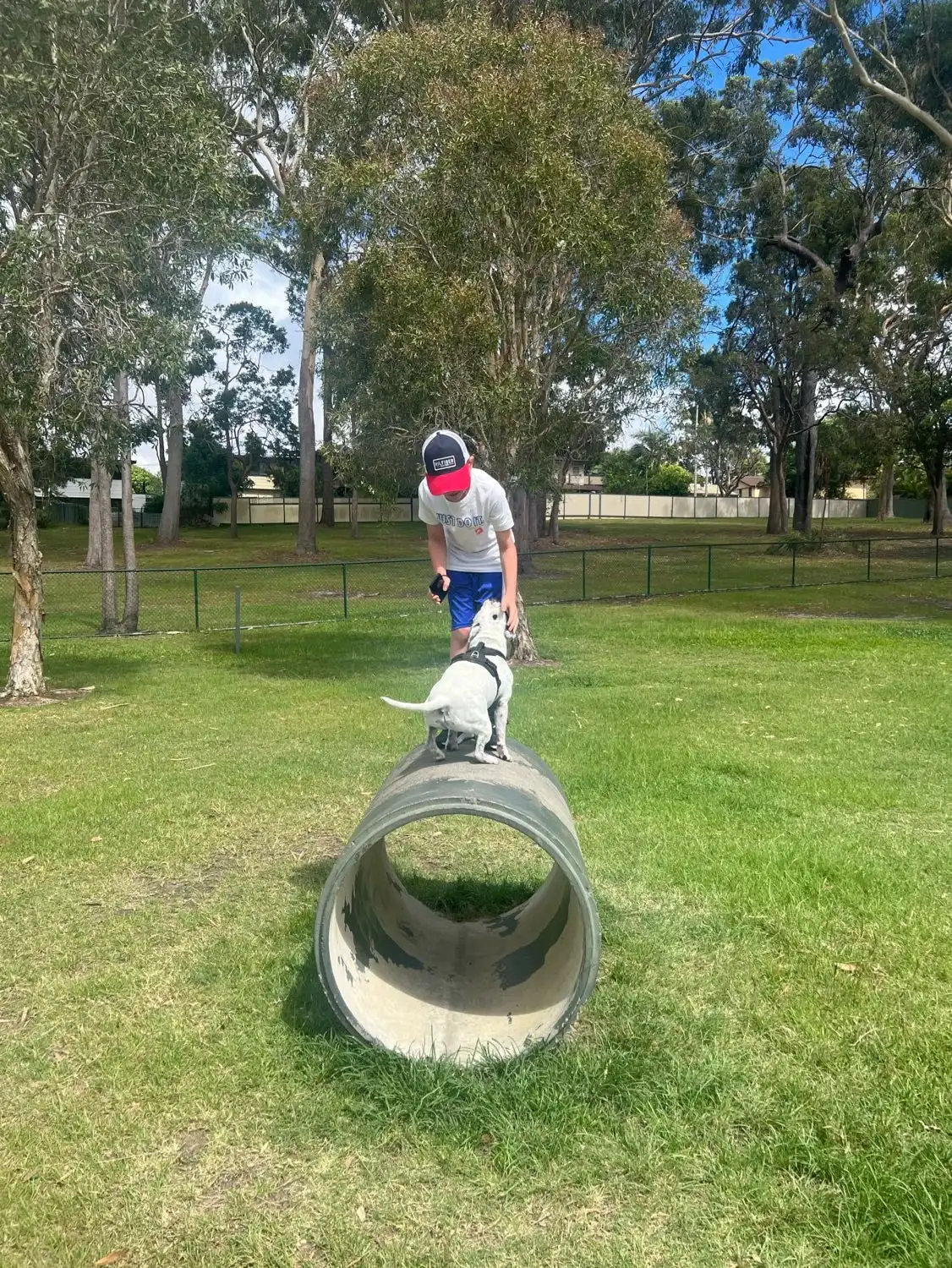 image-8