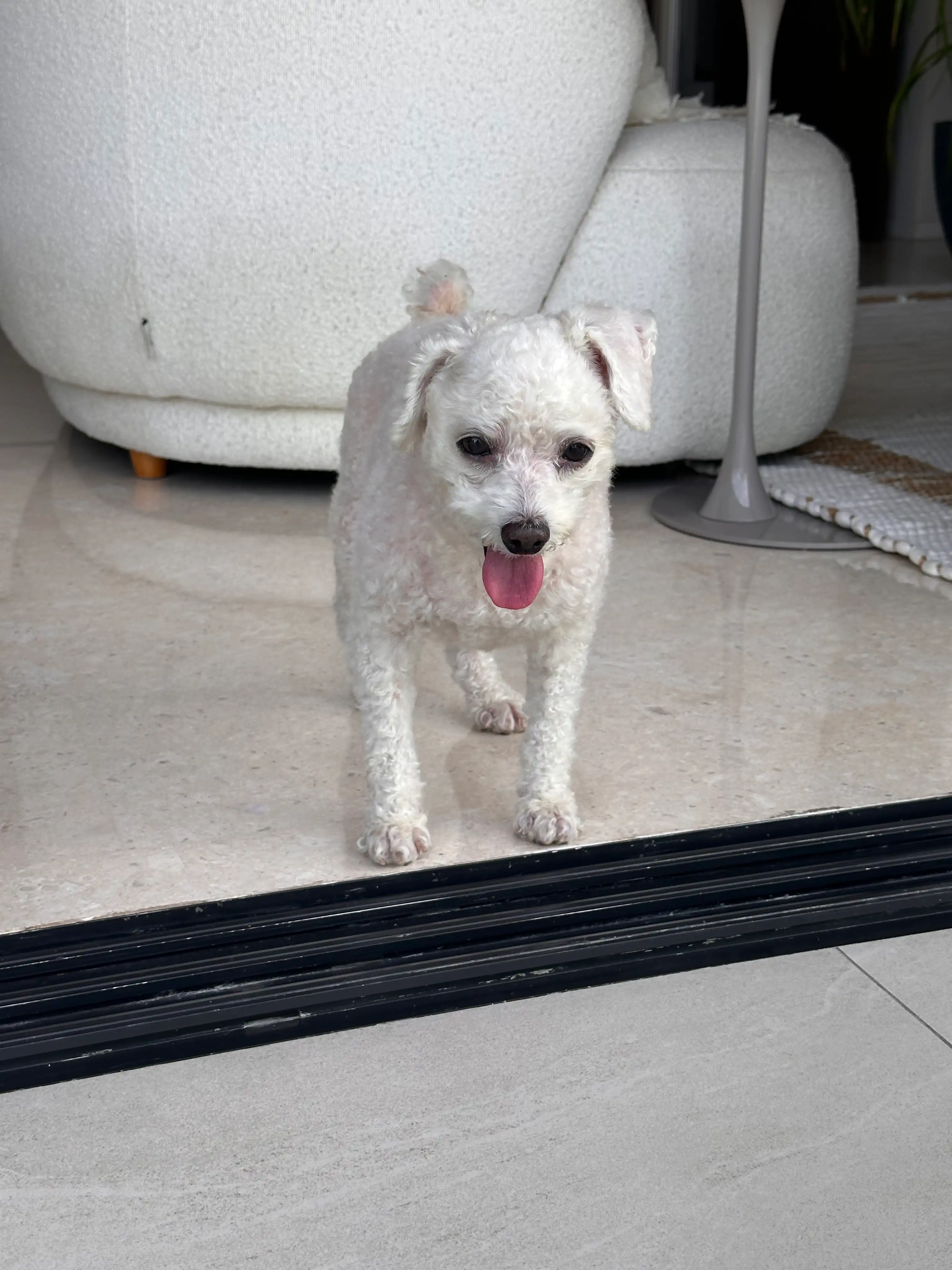 image-16