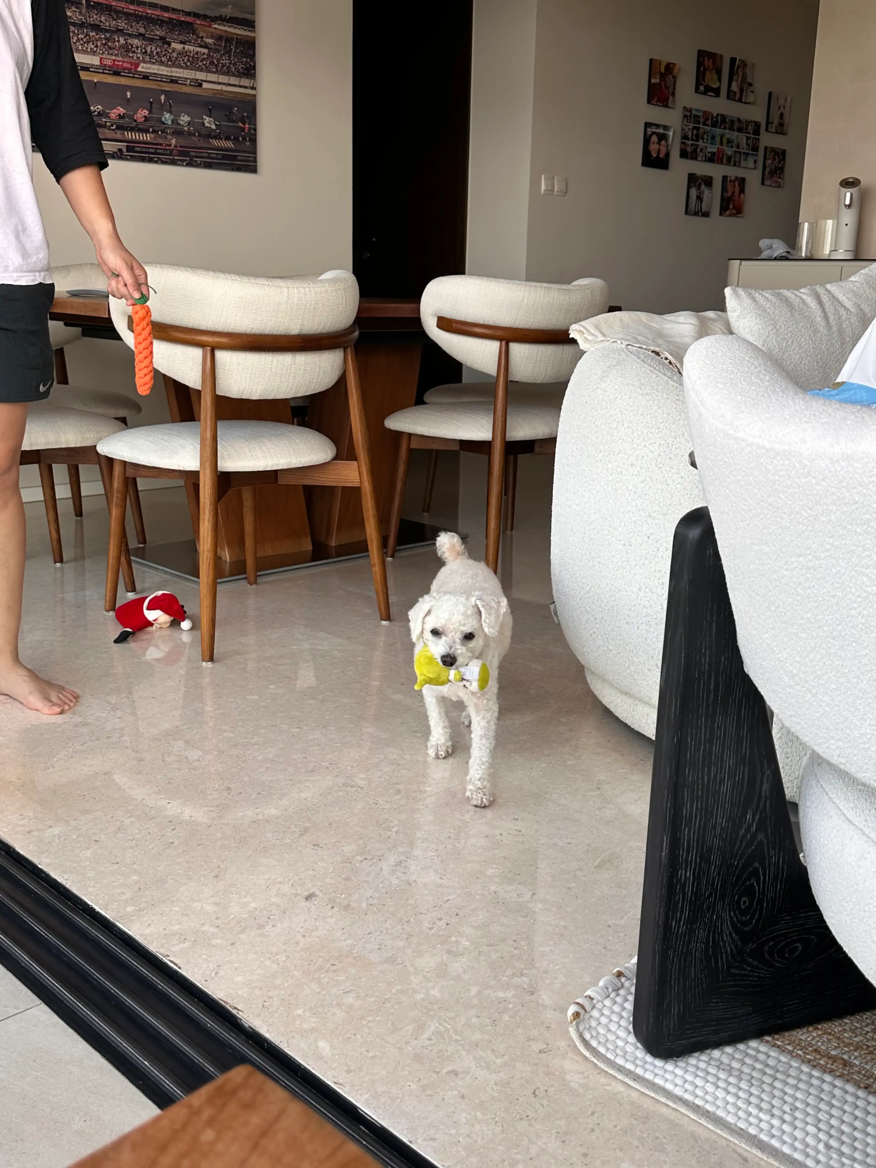 image-20