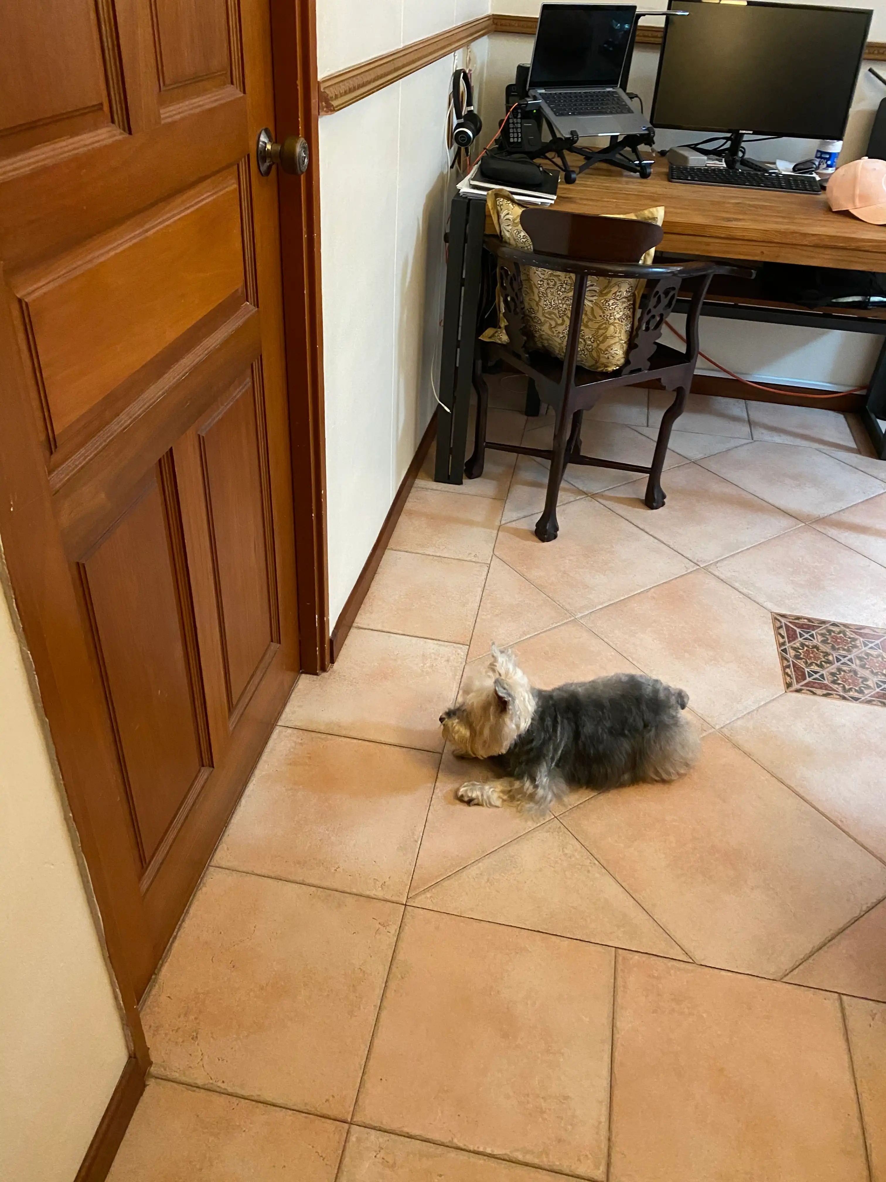image-13
