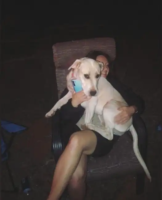 image-8
