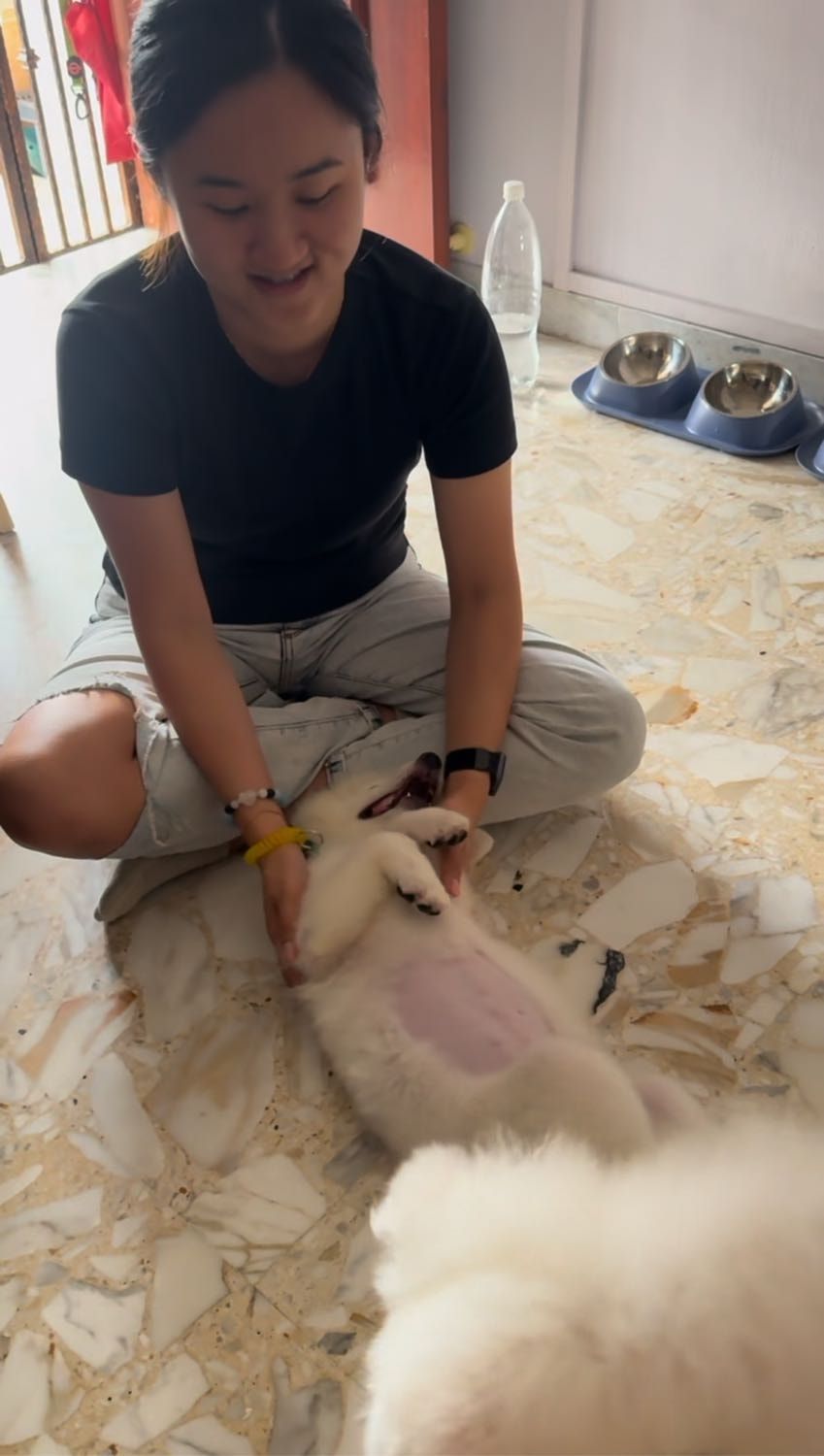 image-8
