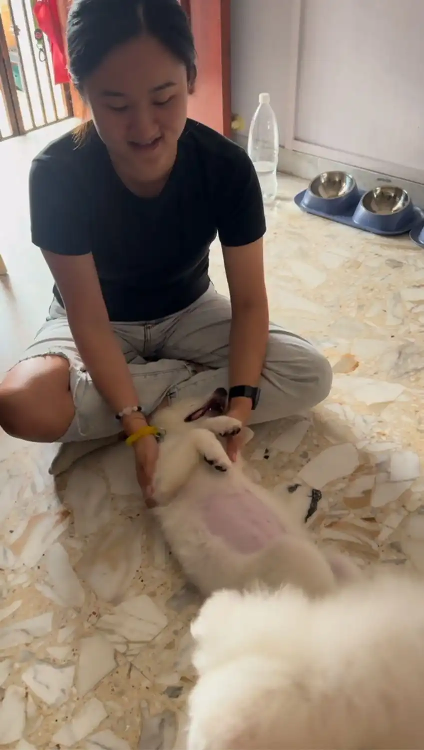 image-8