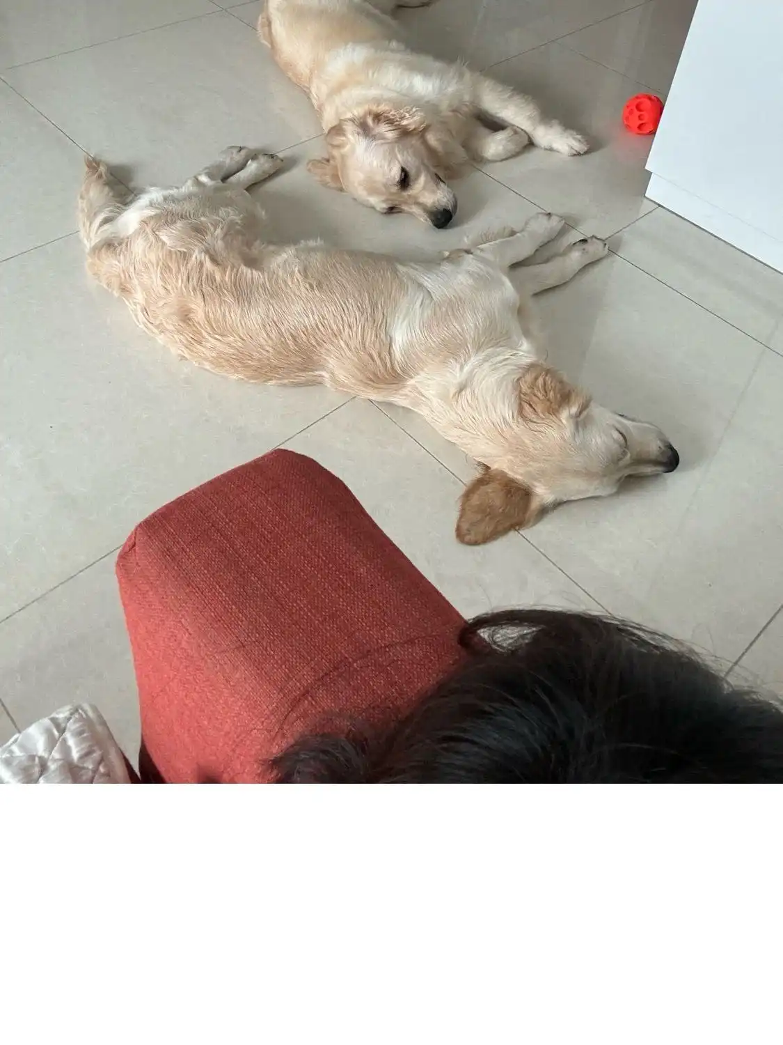 image-14