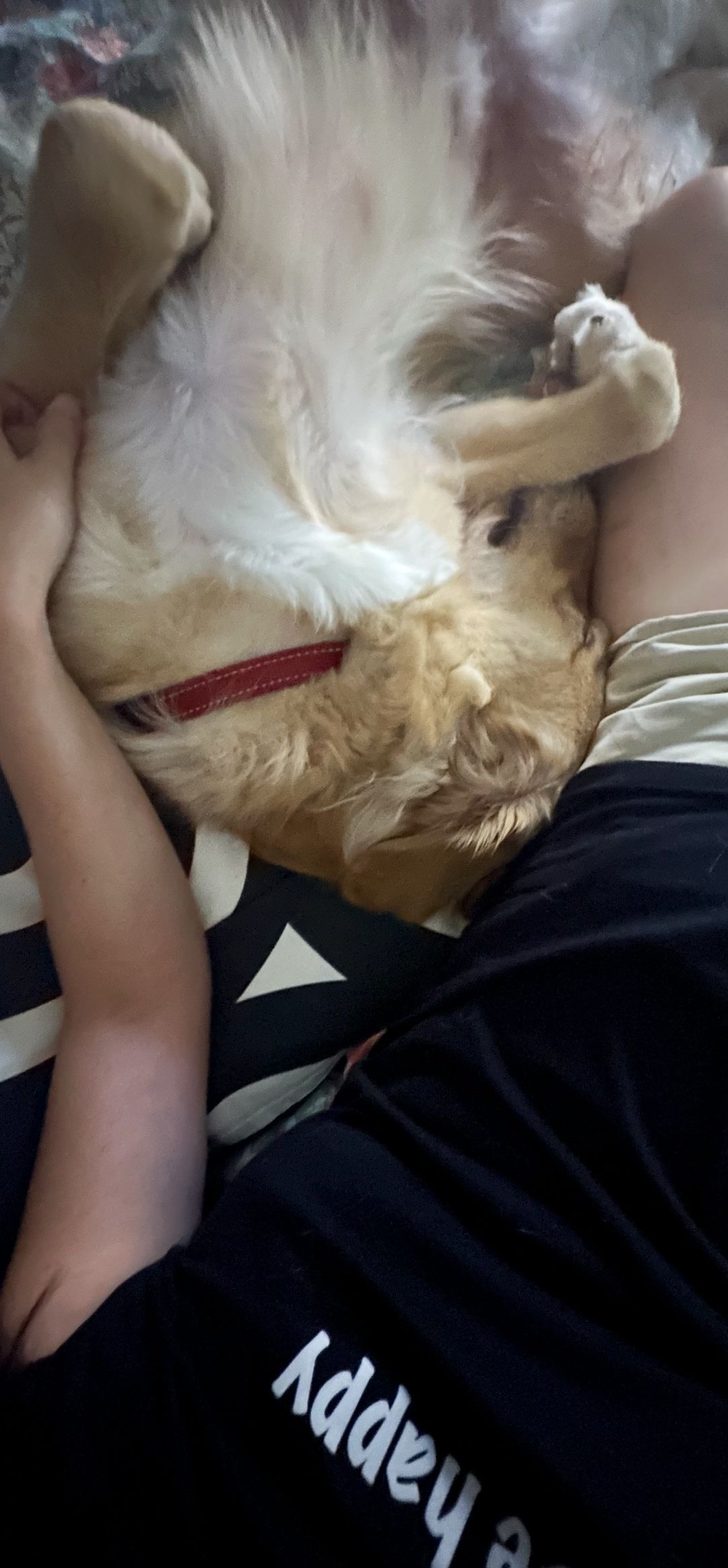 image-8