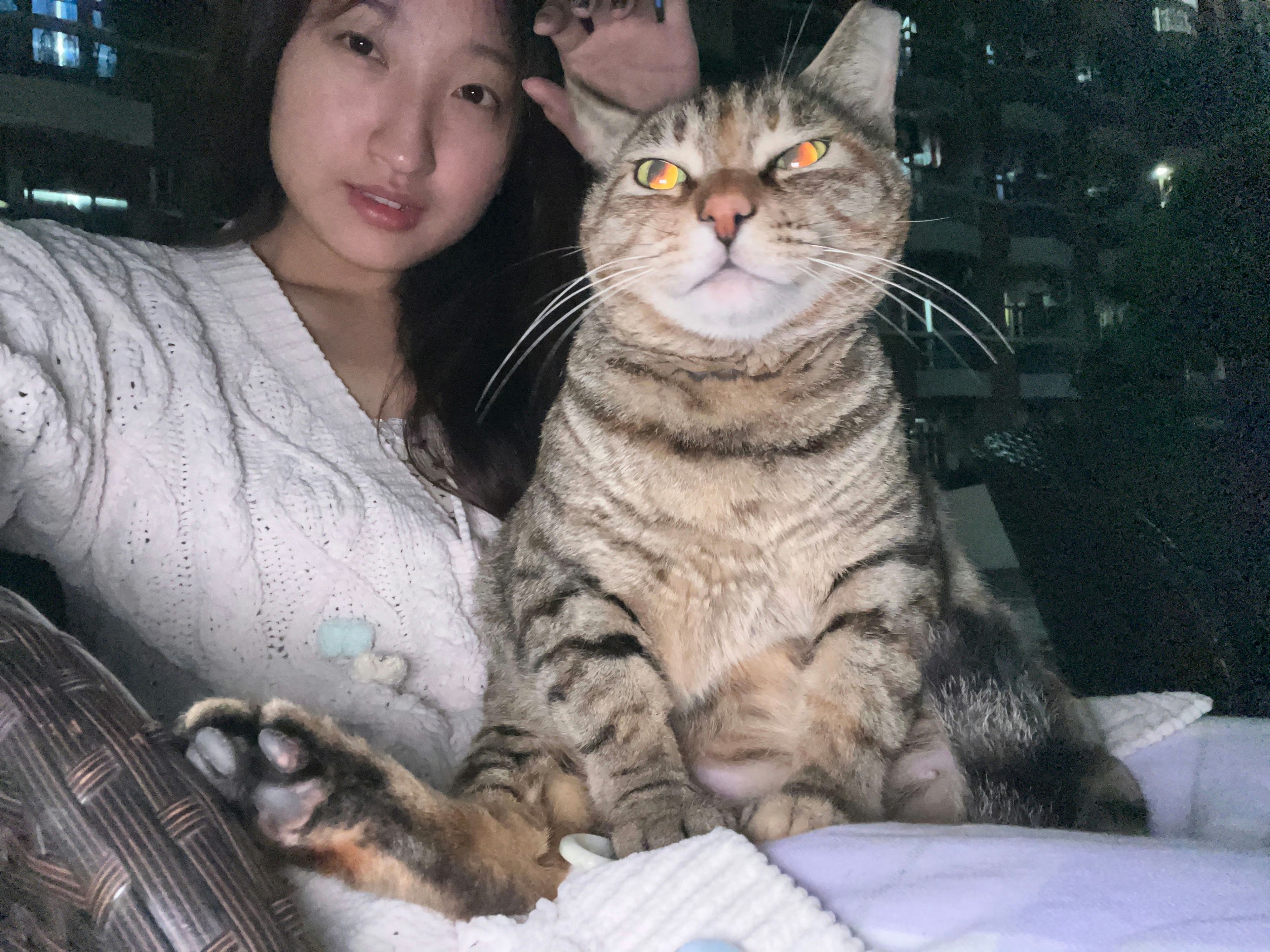 image-5