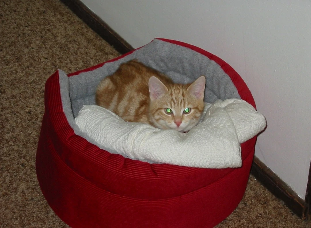 image-4