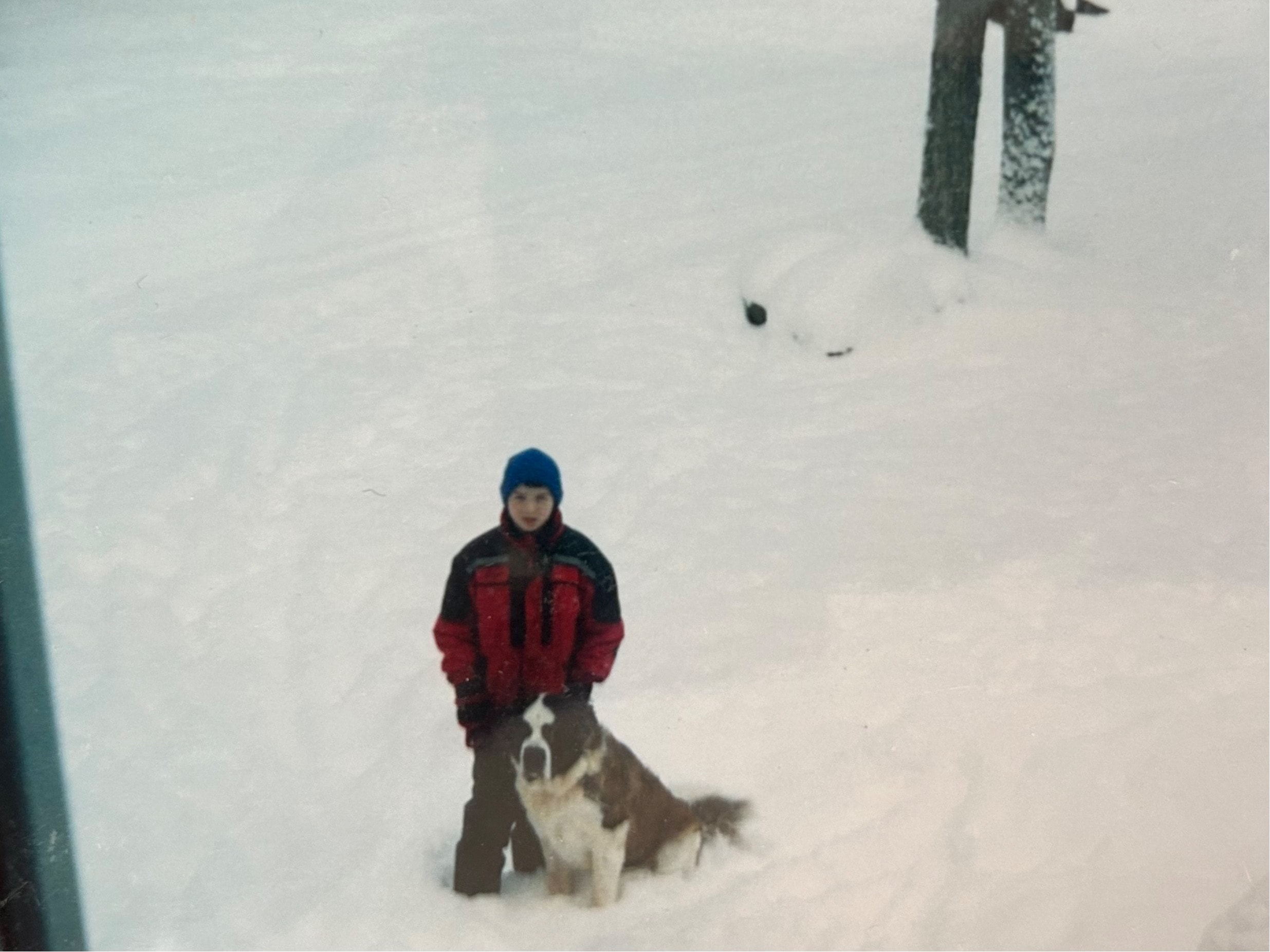 image-2