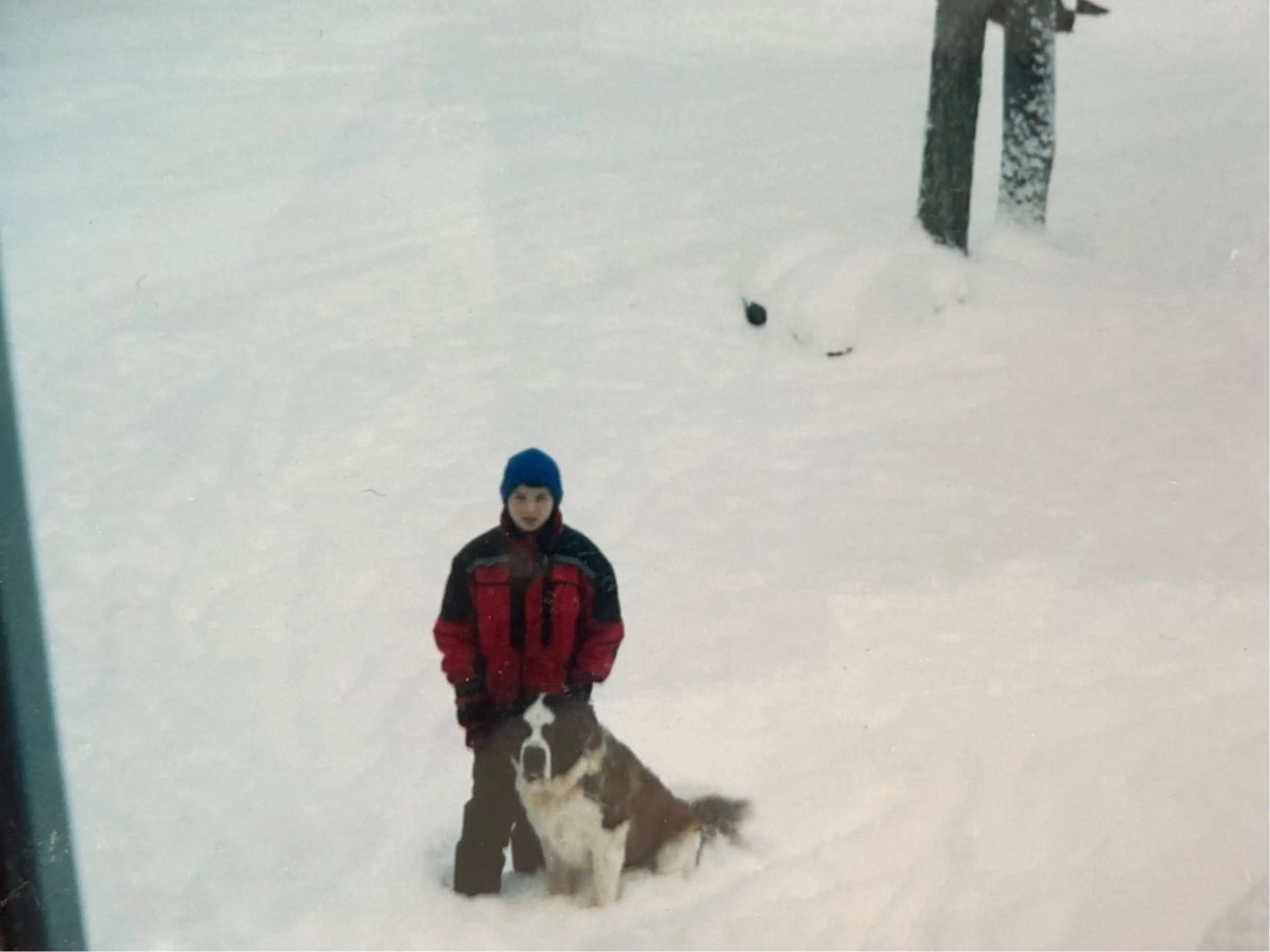 image-2