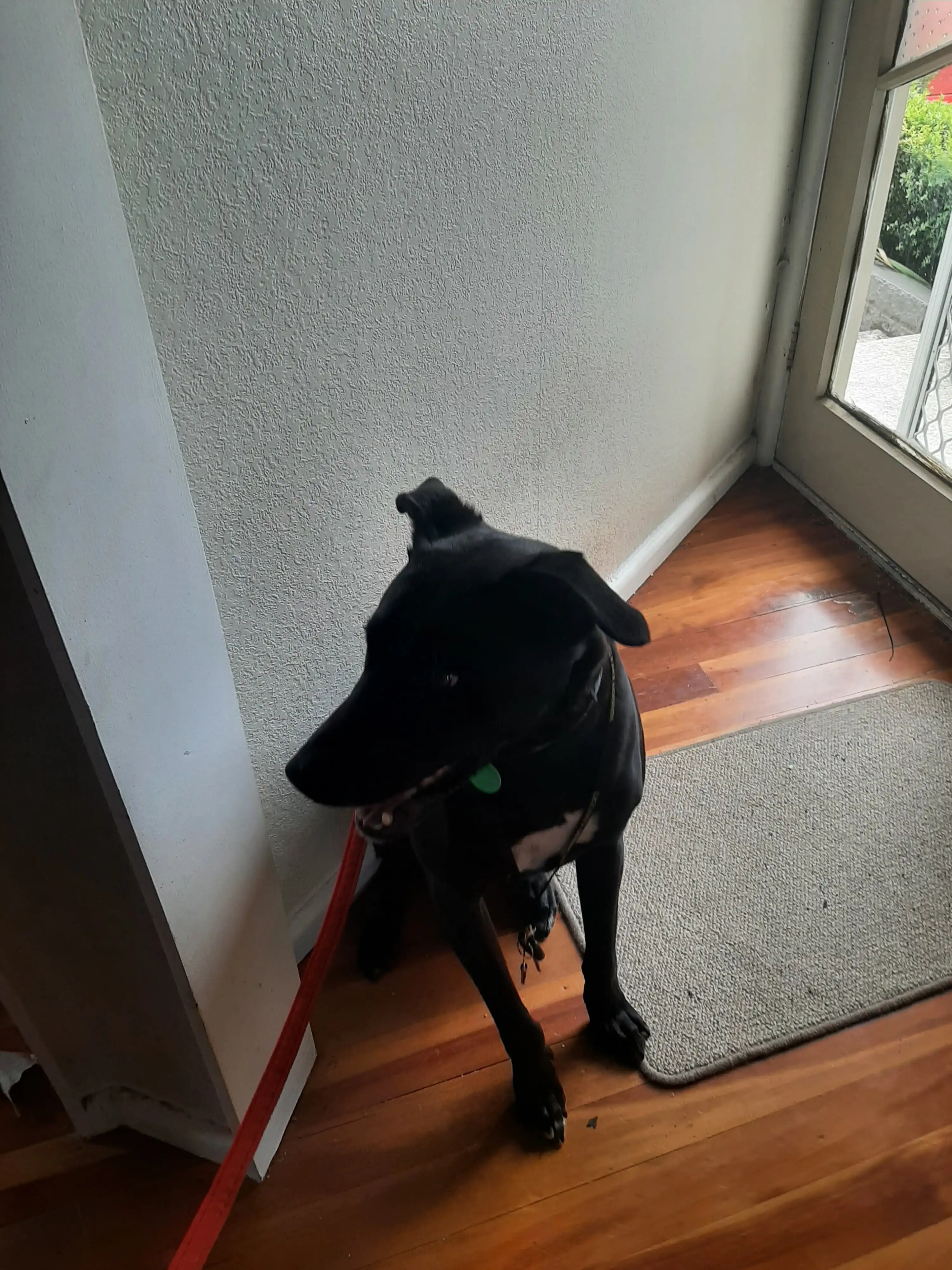image-6