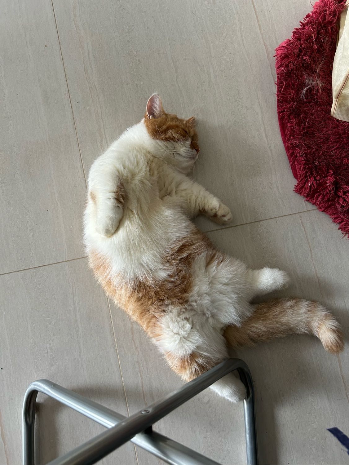 image-9