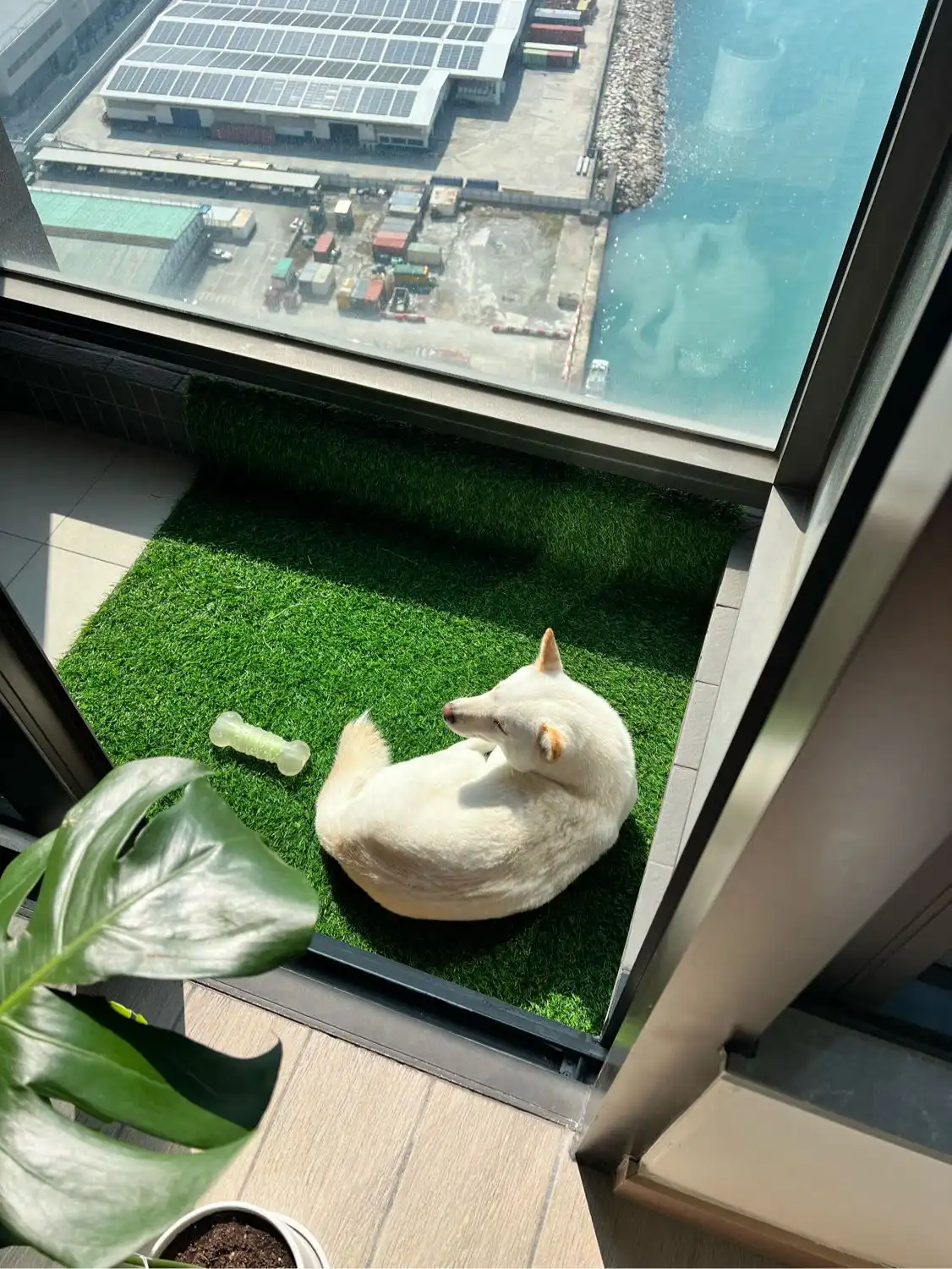 image-6