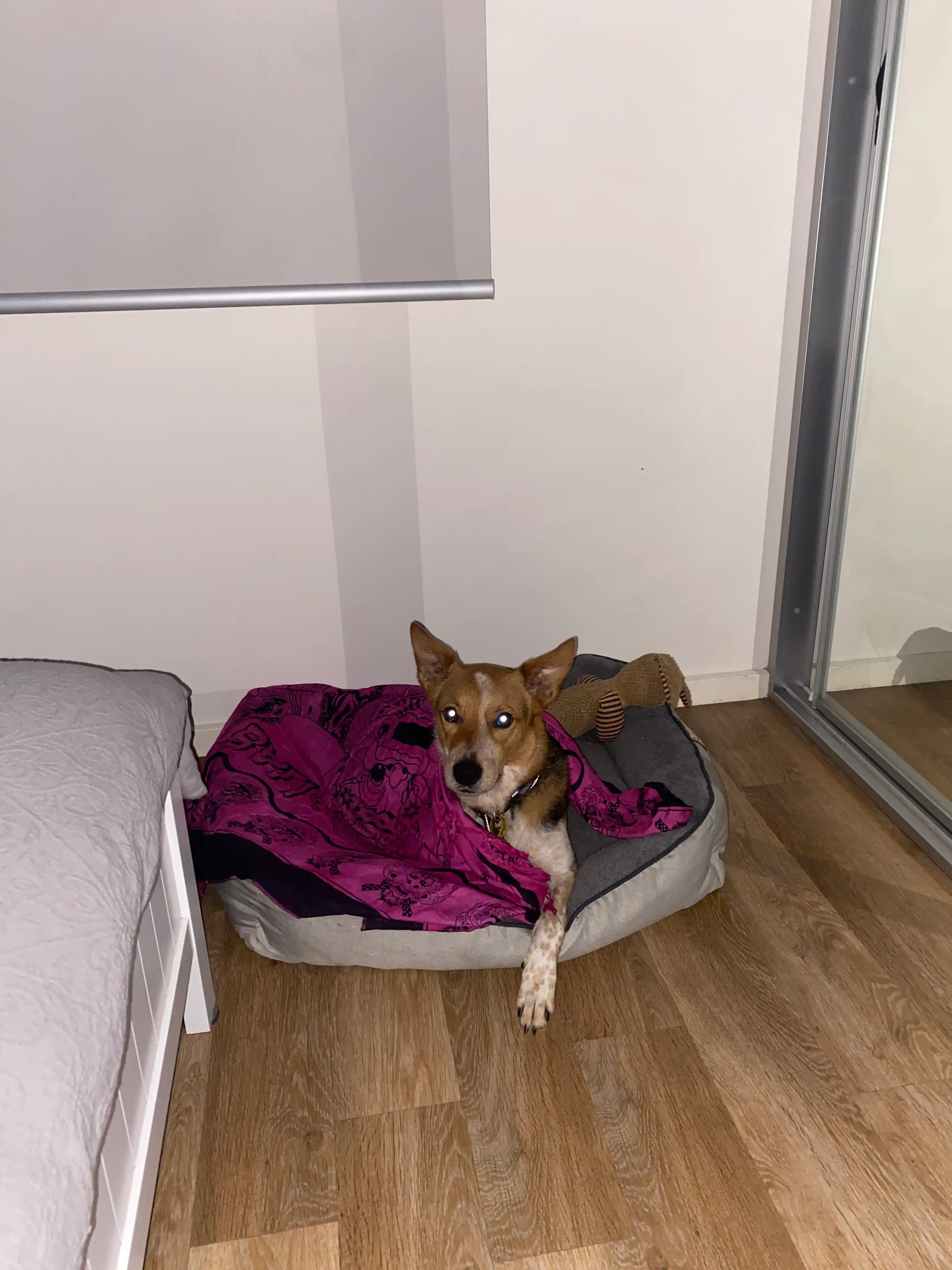 image-11