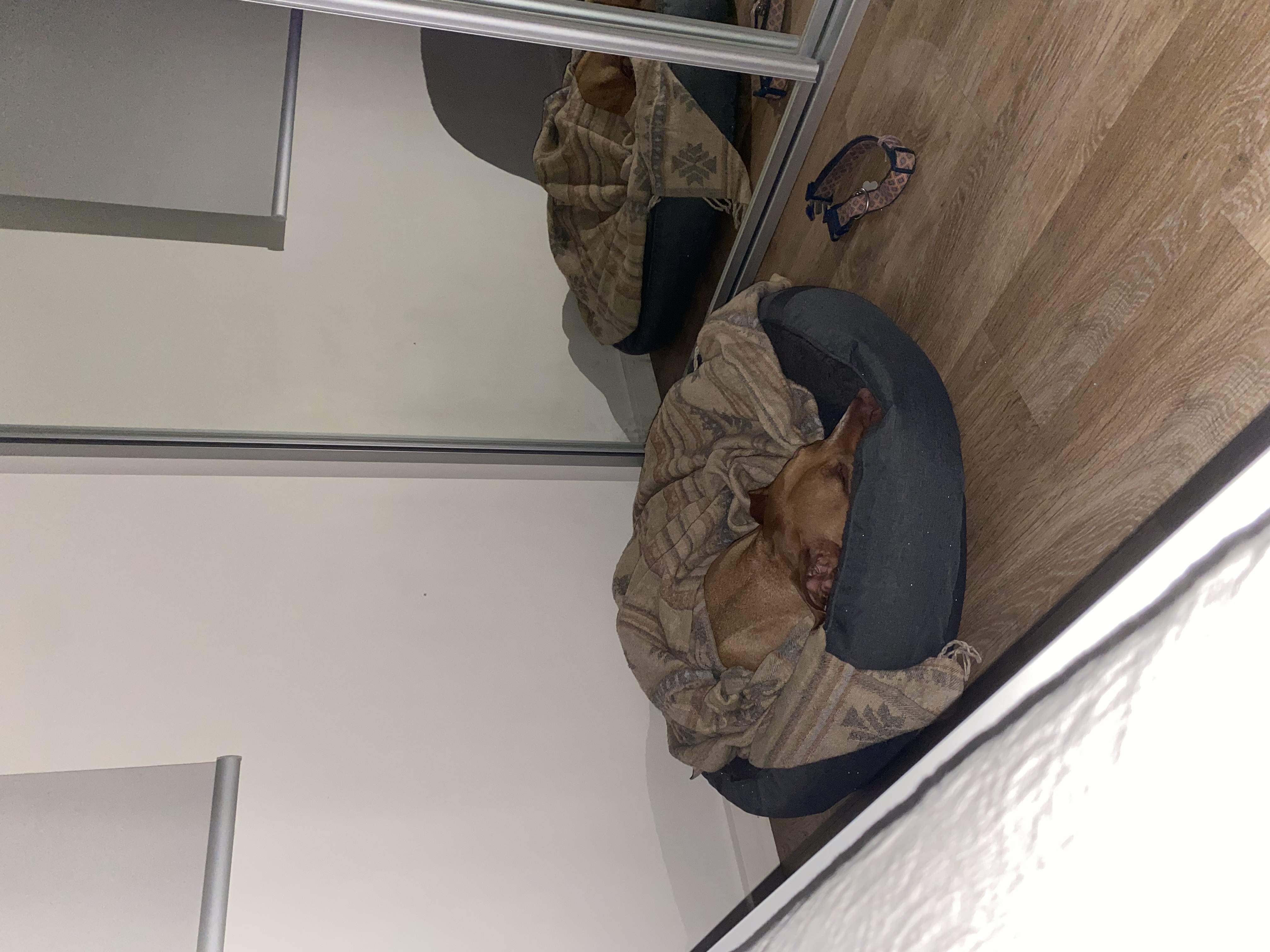 image-16