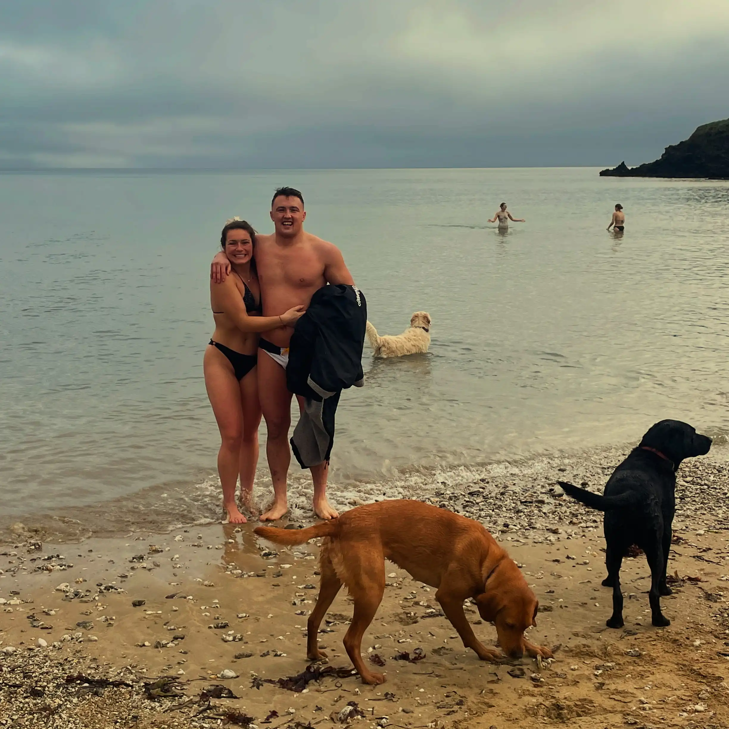 image-7