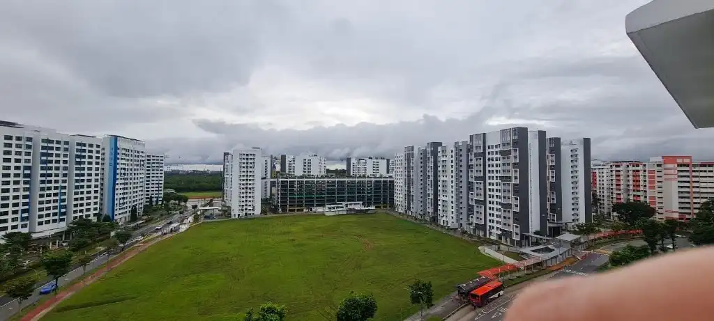 image-11