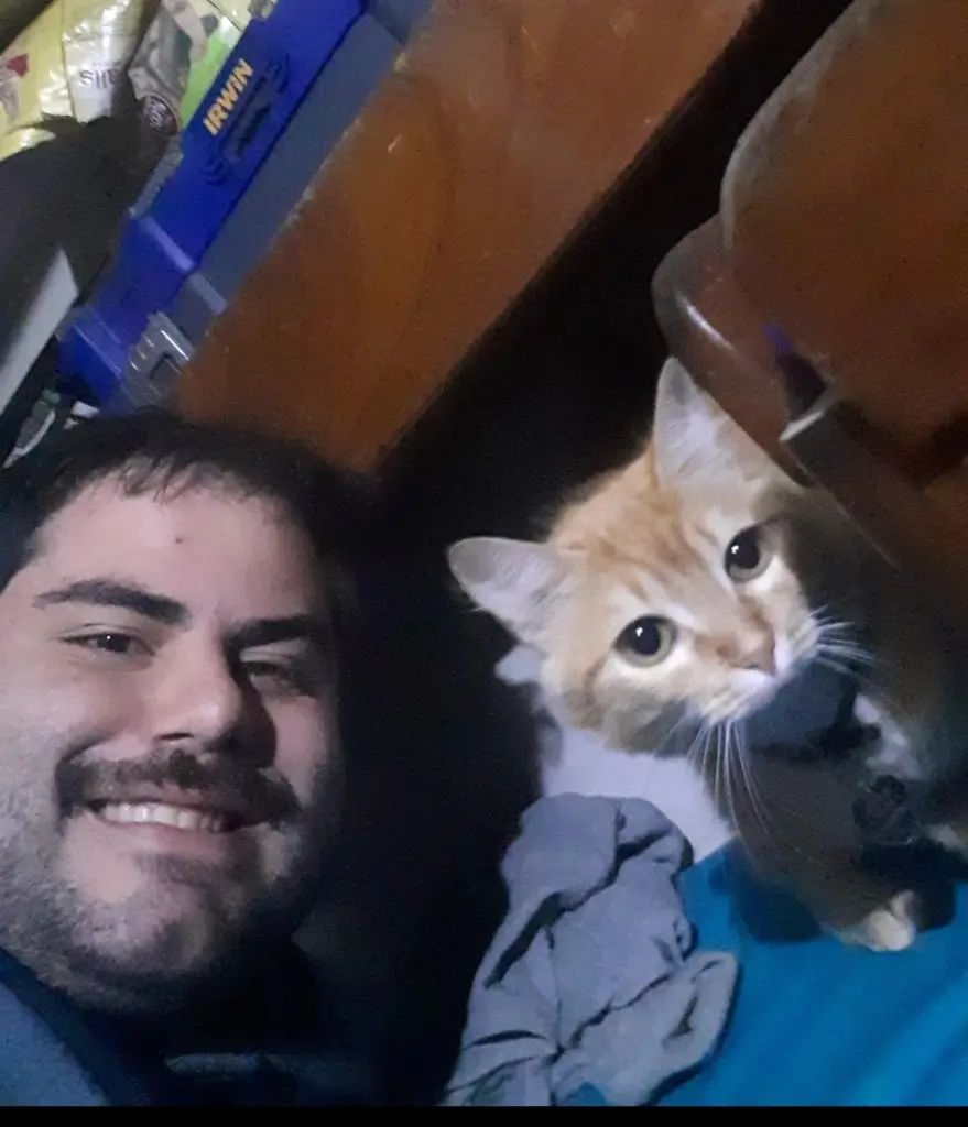 image-4