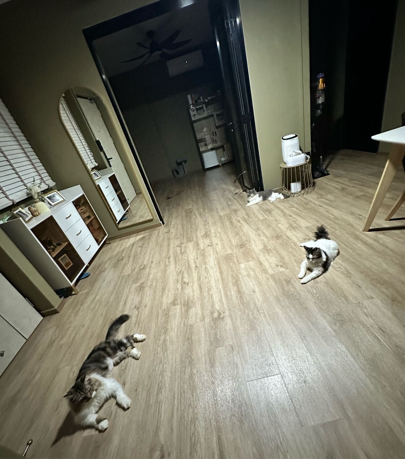 image-3