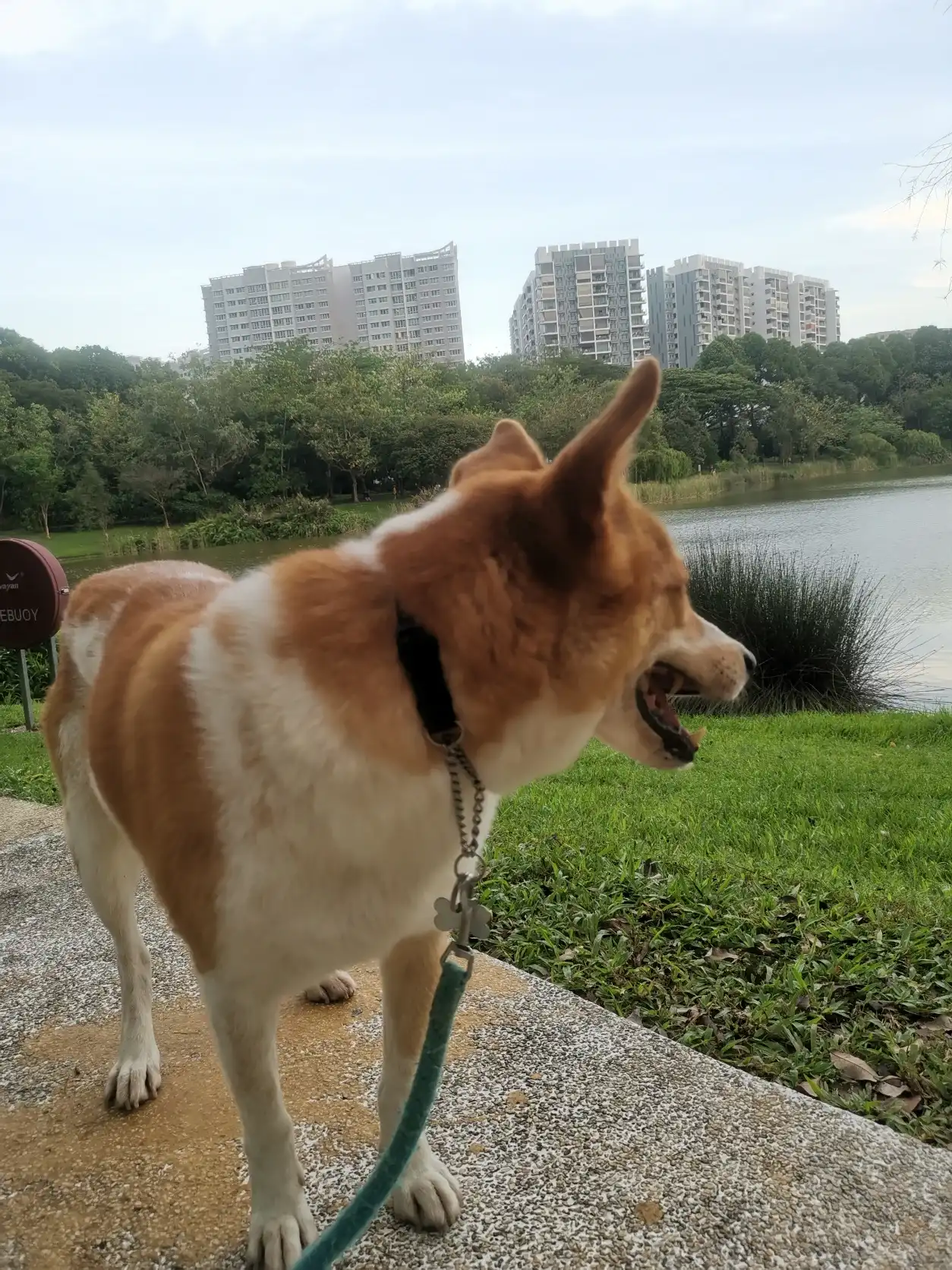 image-12