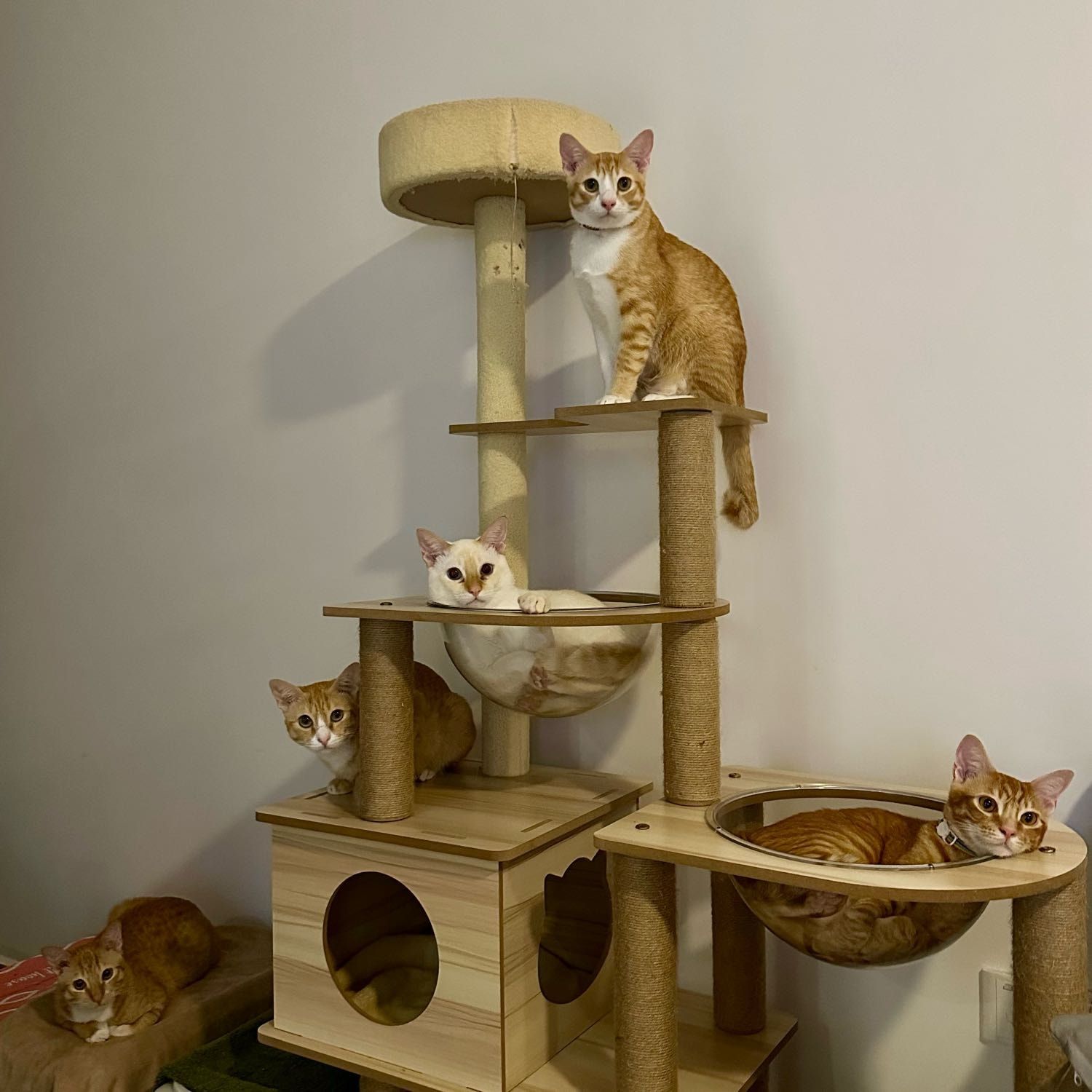 image-5